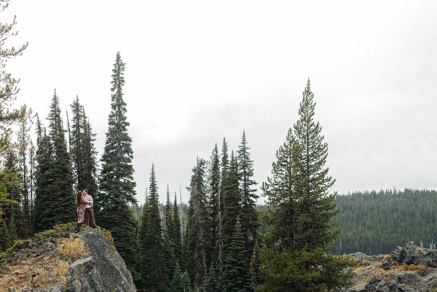 A series of evergreen forest landscapes with mountain peaks and hiking trails in the Pacific Northwest wilderness.