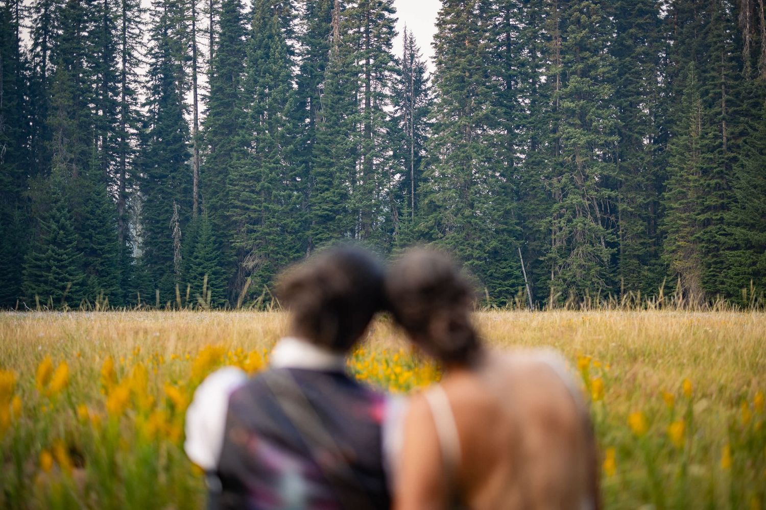 A couple sits together in a golden meadow surrounded by towering evergreen trees in a serene mountain setting.