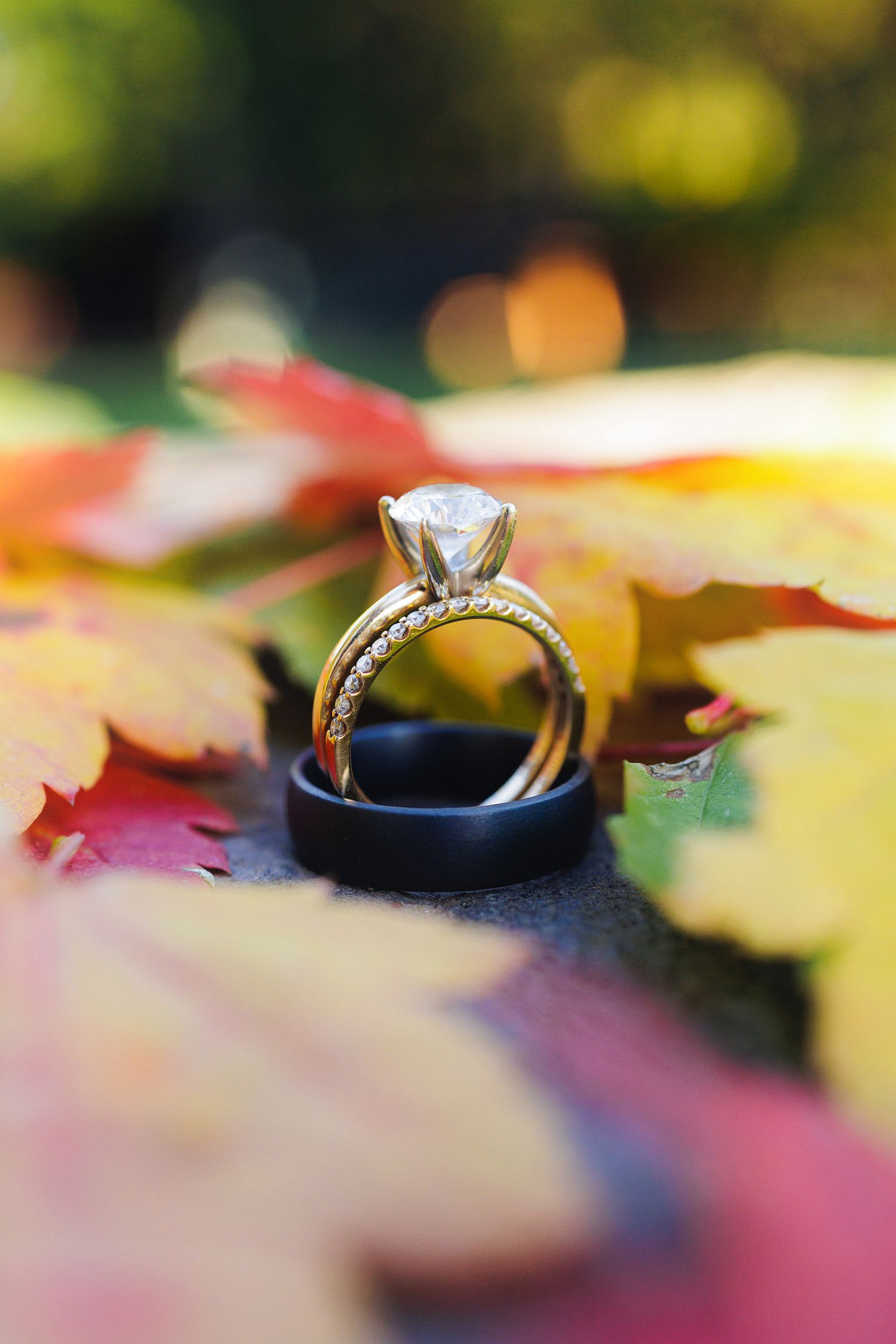 Diamond engagement ring and black wedding band nestled among colorful autumn leaves in red, yellow, and orange hues.