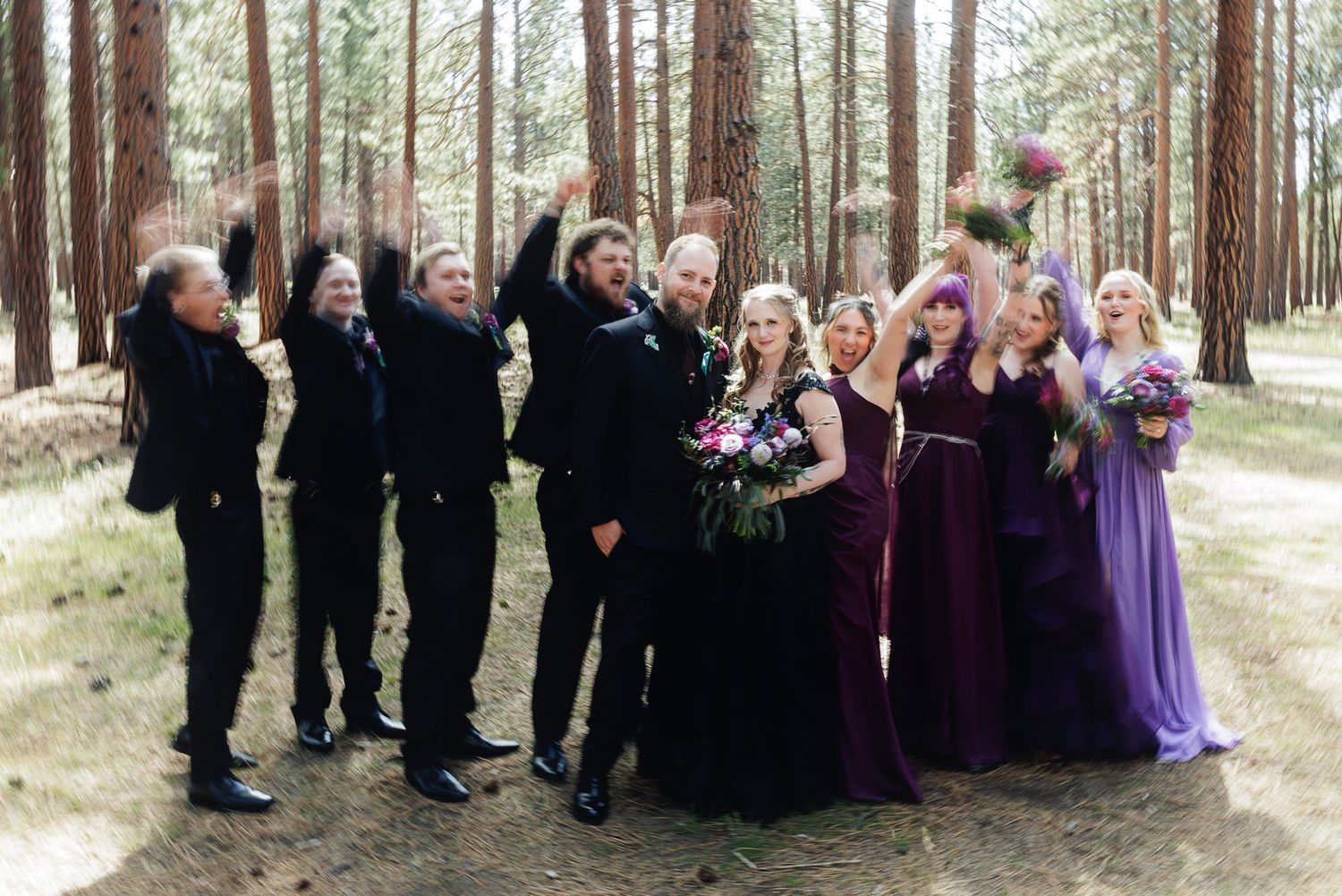 Wedding party celebrating in a pine forest, bridesmaids in purple gowns and groomsmen in black suits.