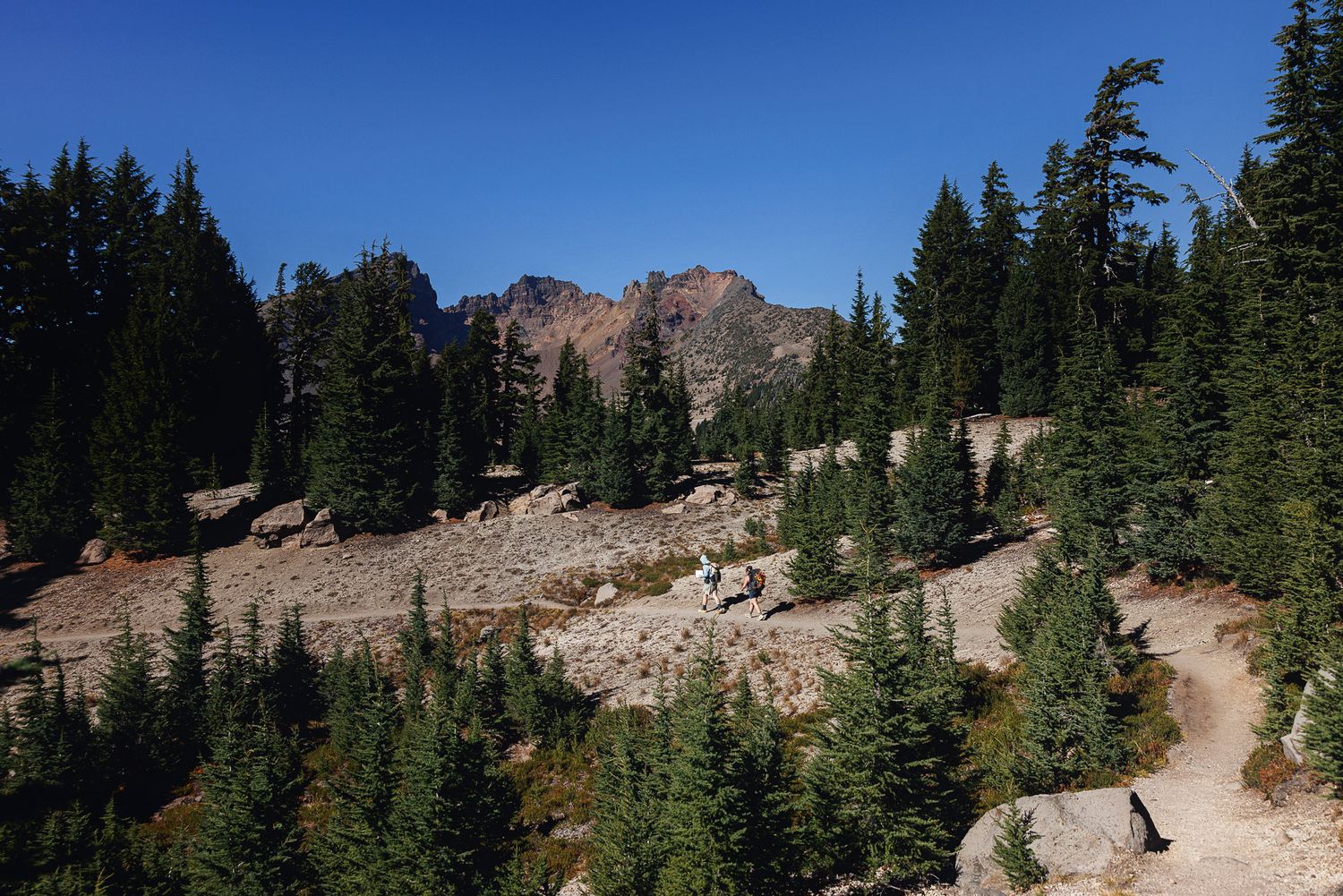 Hikers walk along a rocky mountain trail surrounded by evergreen trees with a rugged peak rising under a clear blue sky.