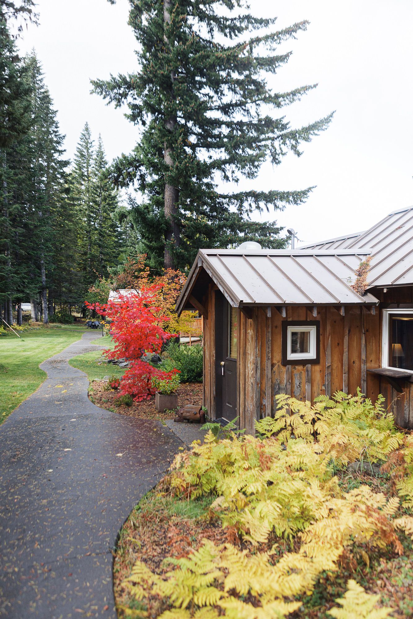 Rustic wooden cabins along a curved path with vibrant red maple trees and yellow foliage in autumn.