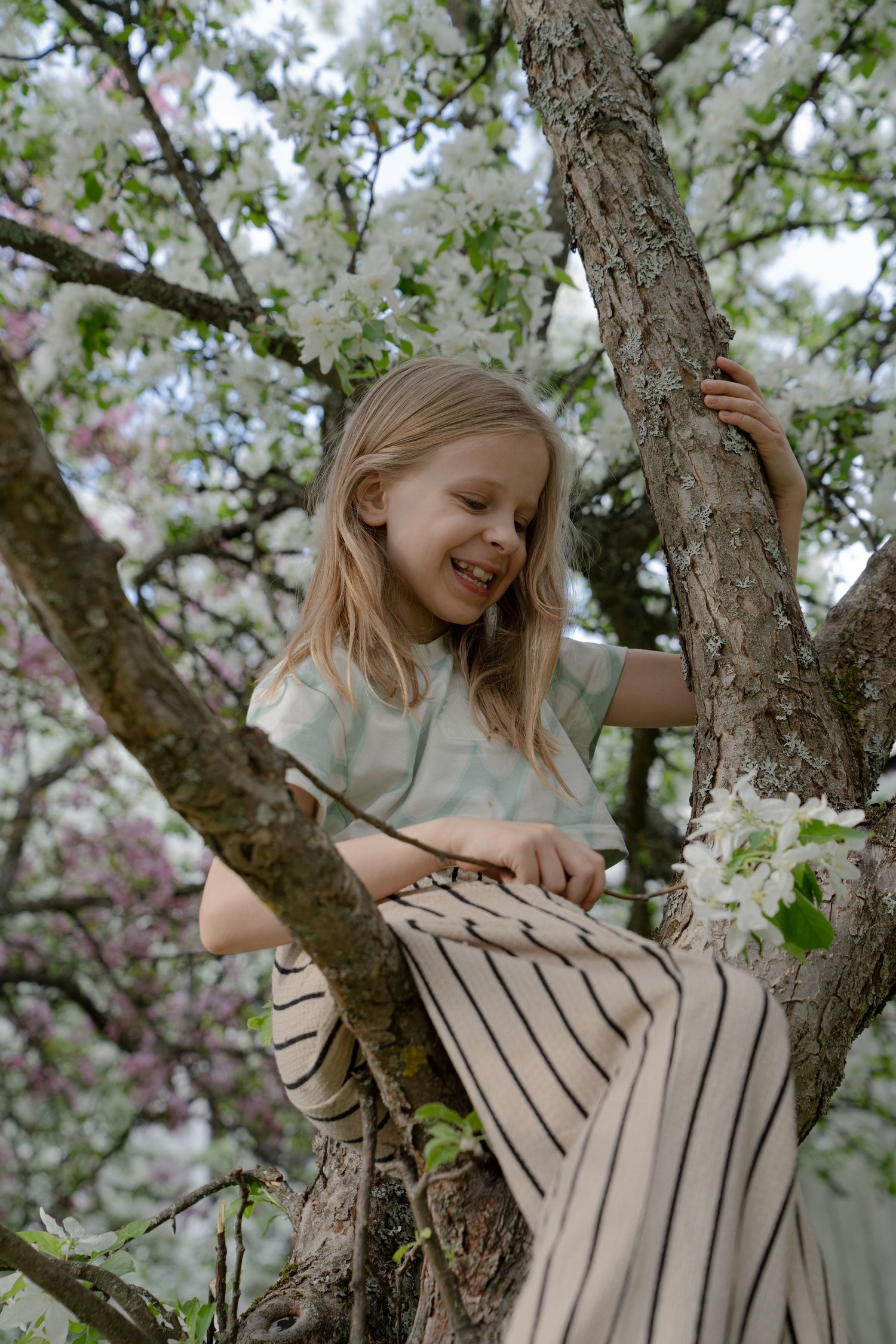 Young person sitting in blooming cherry tree surrounded by white spring blossoms.