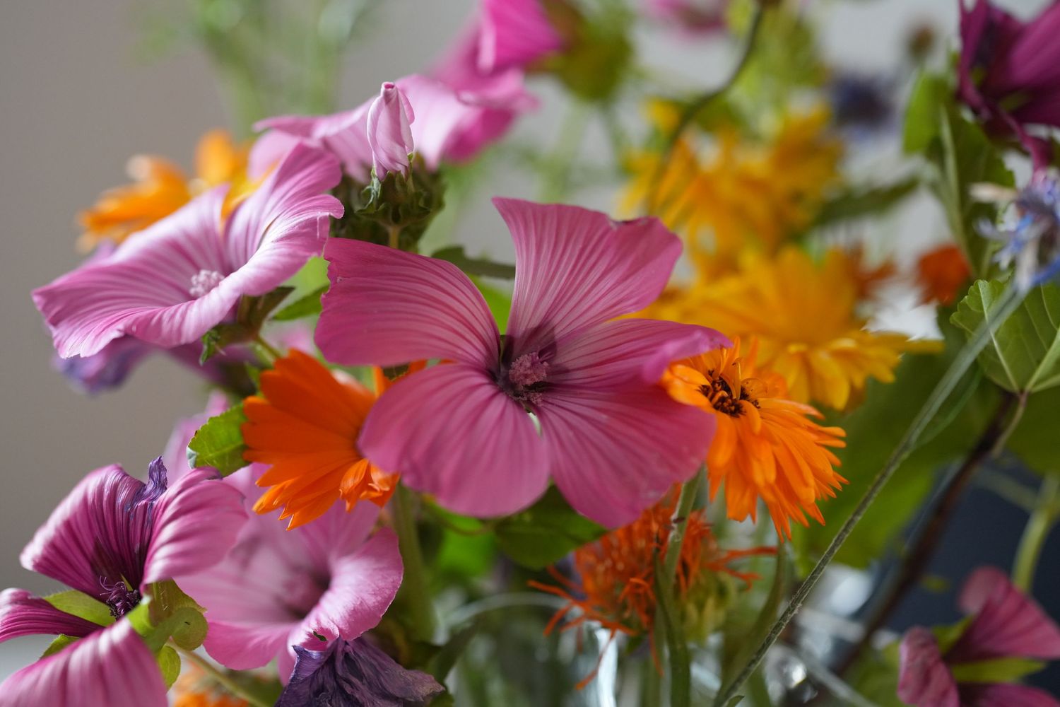 Vibrant pink and orange flowers in a colorful garden bouquet with soft focus bokeh effect.