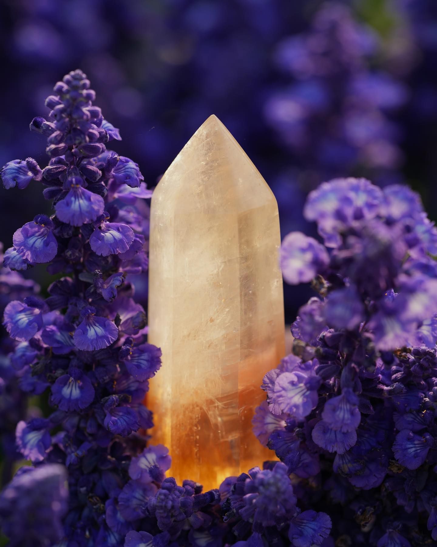 A glowing orange and white crystal point surrounded by vibrant purple delphinium flowers in soft focus.
