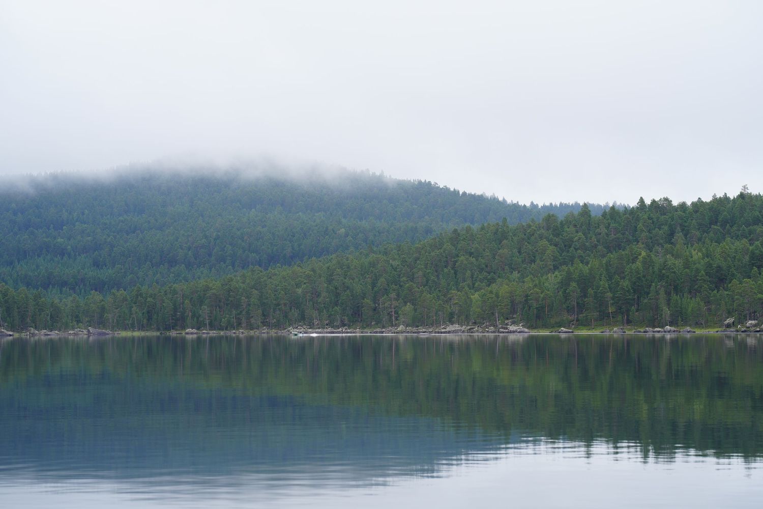Misty mountain lake surrounded by evergreen forest on a calm morning.