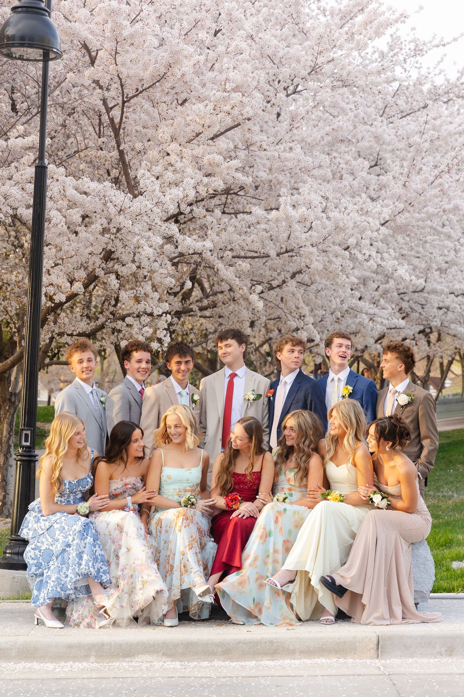 Large prom group posing under blooming white cherry blossom trees at dusk.