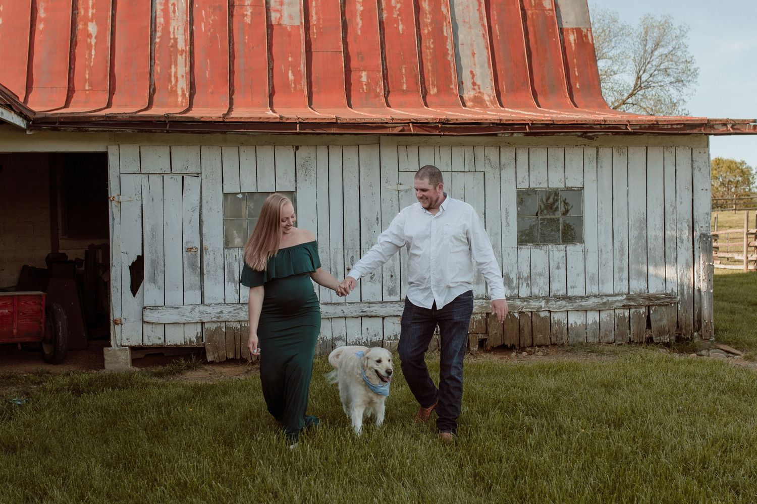 Maternity Family photography in northern Virginia and DC with dog.