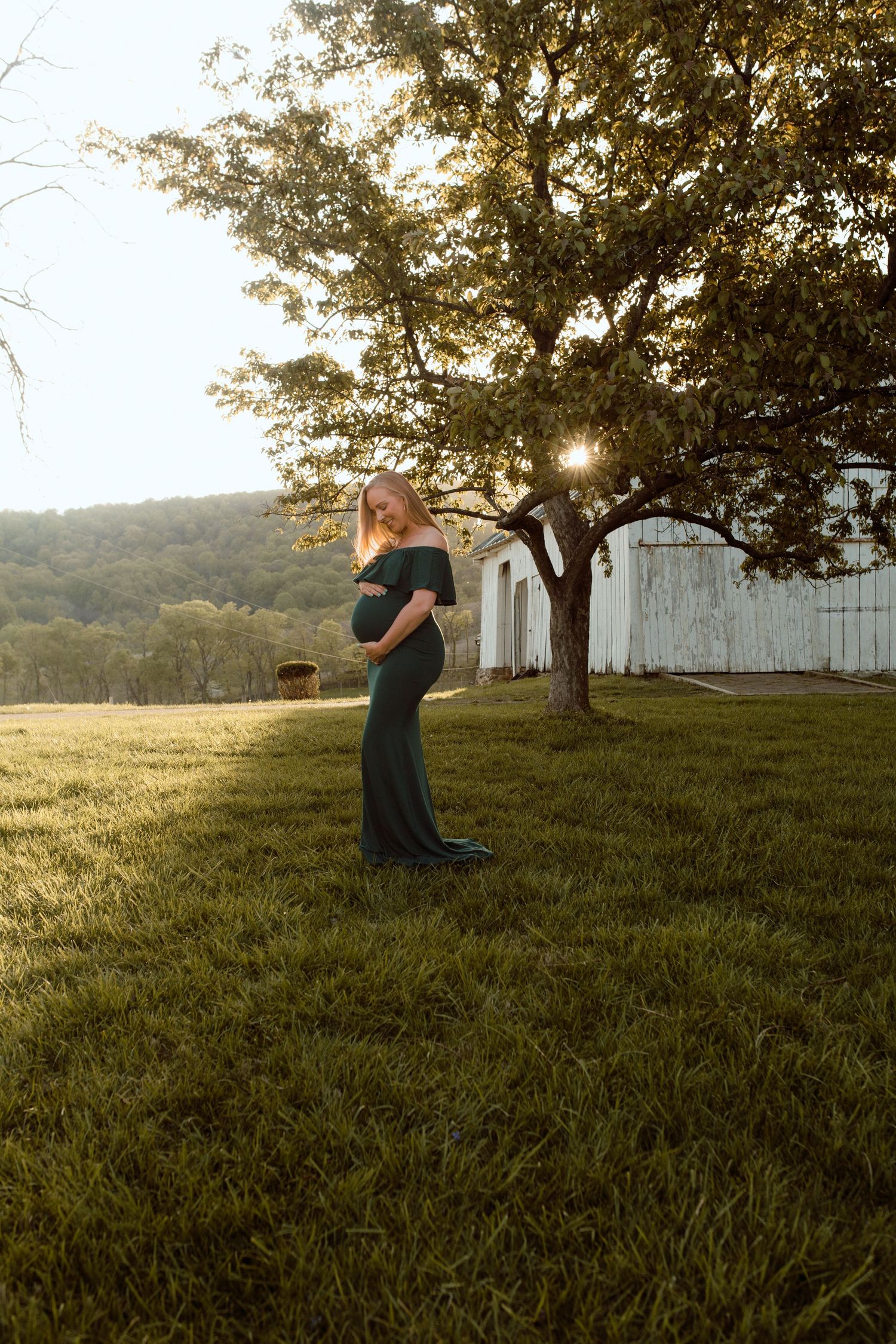 maternity portrait in the mountains of Shenandoah. Rustic but elegant photo.