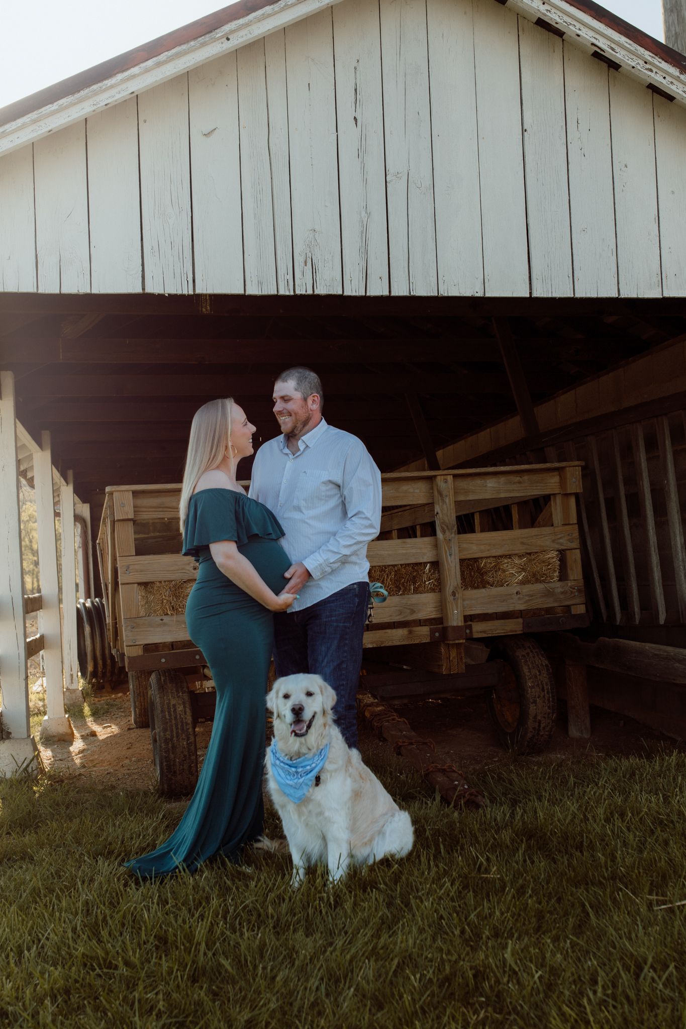 Maternity Family photography in northern Virginia and DC with dog.