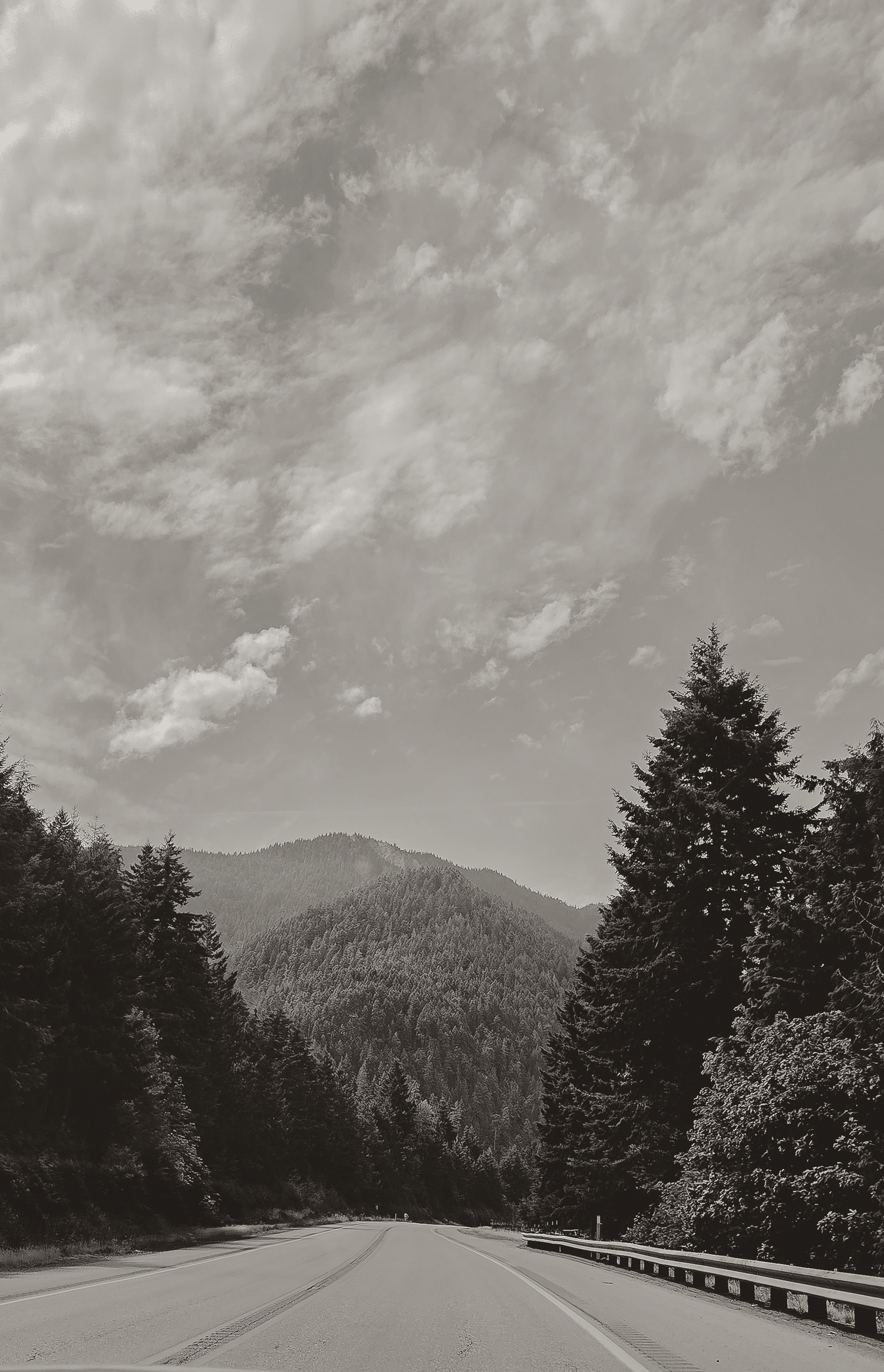 Black and white photo of a winding mountain highway flanked by tall evergreen trees under a dramatic cloudy sky.