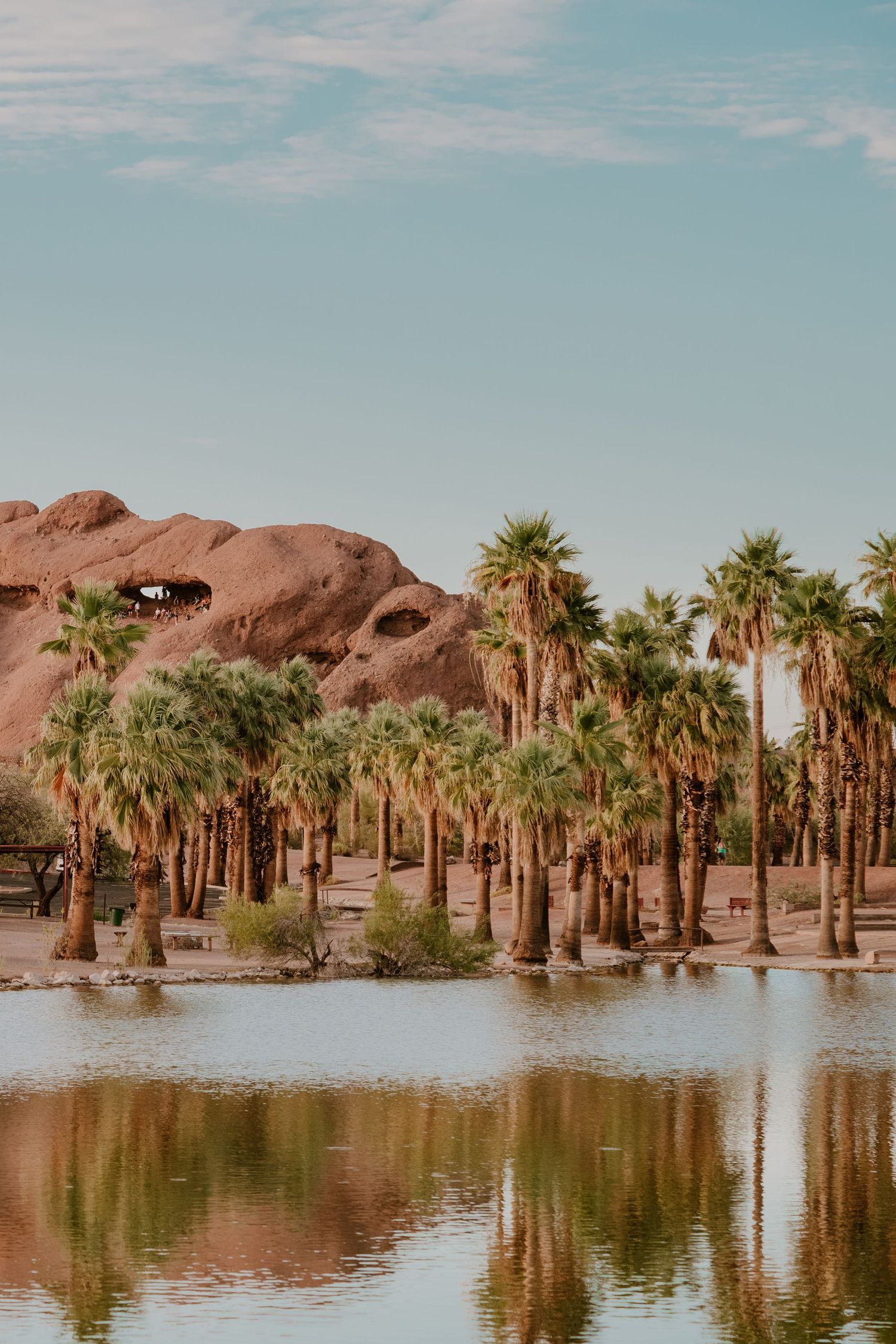 Palm trees reflect in a desert oasis lake with red rock formations in the background.