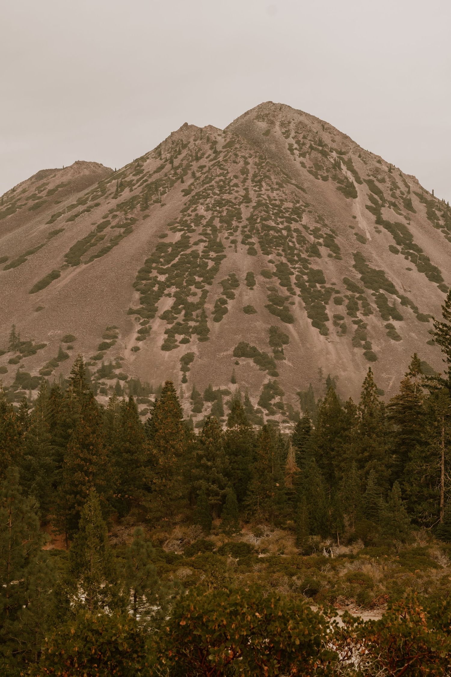 A rugged mountain peak rises above evergreen forest with sparse vegetation on its rocky slopes.