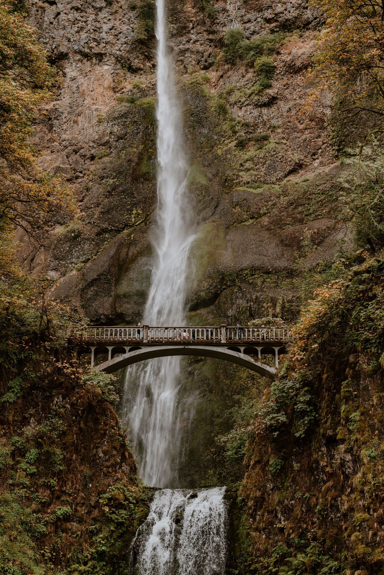 Multnomah Falls cascades dramatically over a scenic footbridge in Oregon's Columbia River Gorge.