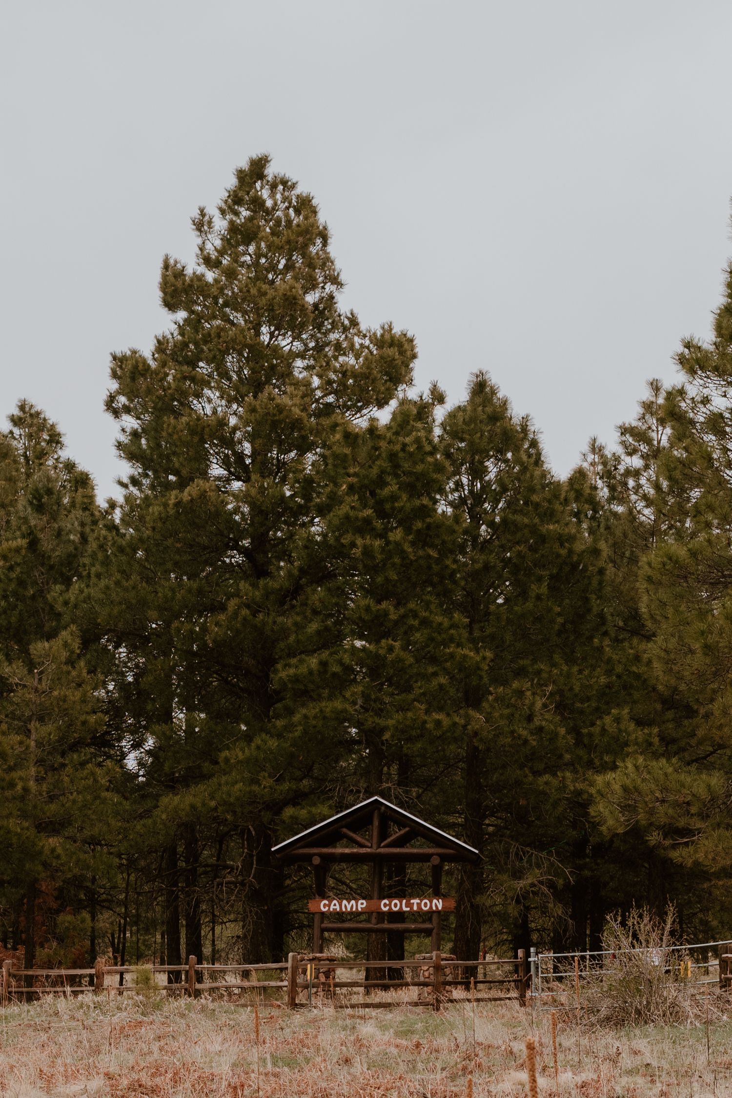 Rustic wooden buildings with 'Camp Collins' sign nestled among evergreen trees in a rural setting.