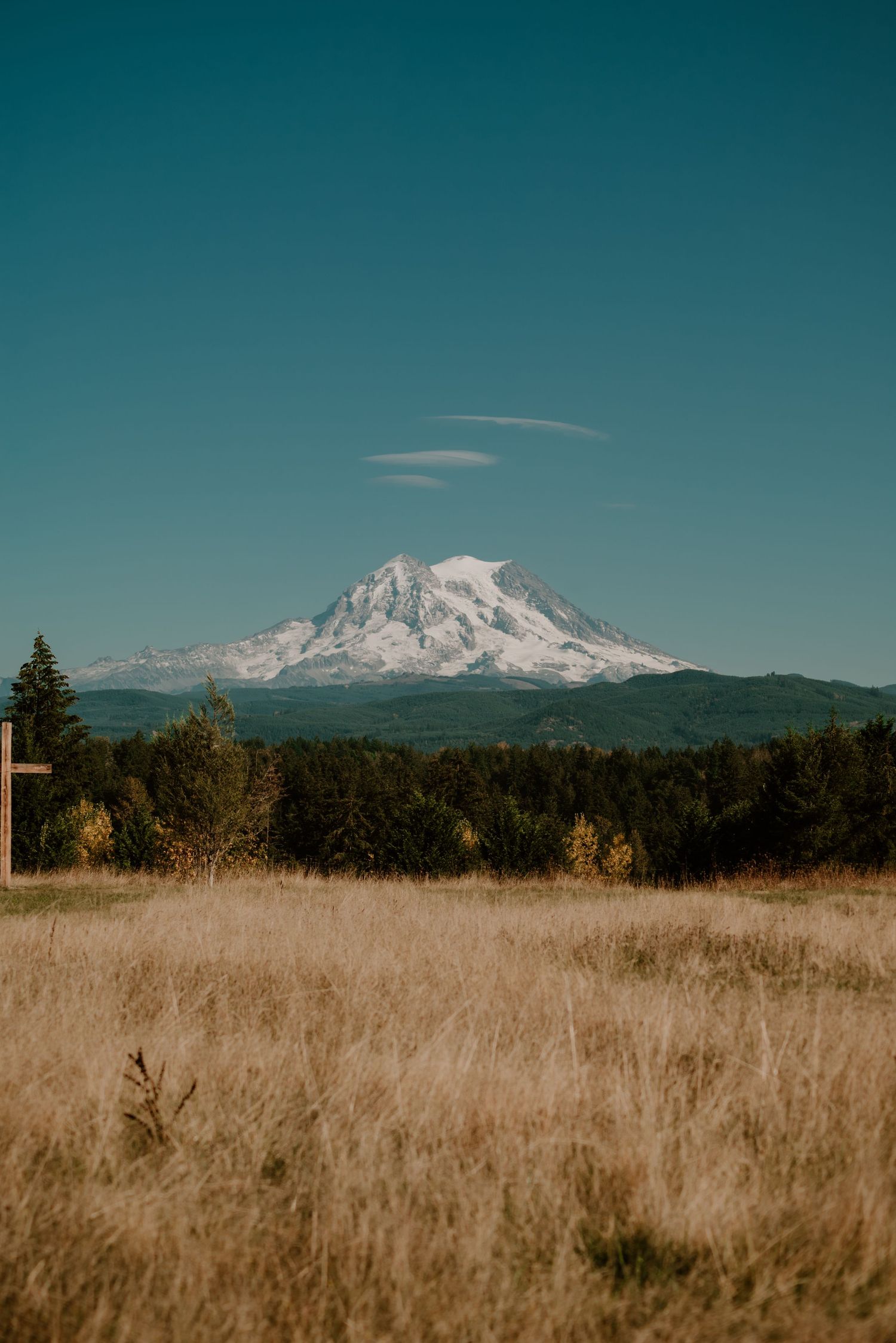 Snow-capped mountain peak rises above golden grass fields under a turquoise sky.
