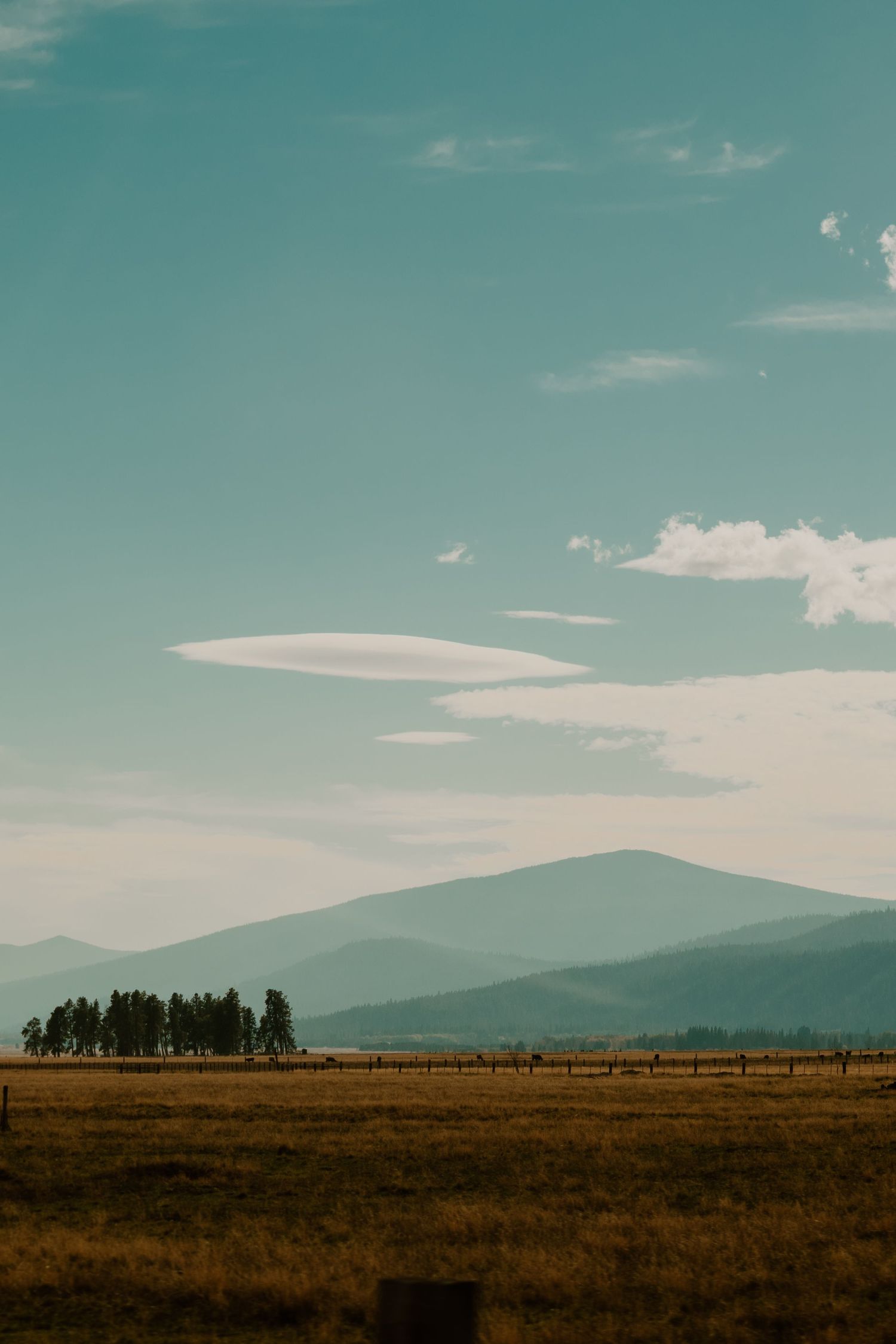 Rolling golden prairie meets distant mountains under a turquoise sky with wispy clouds.