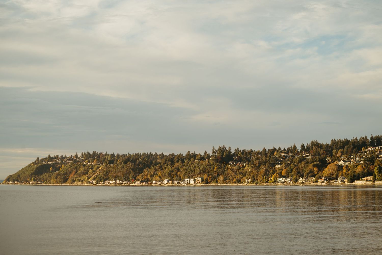 Waterfront homes line the forested hillside of a Pacific Northwest coastline.