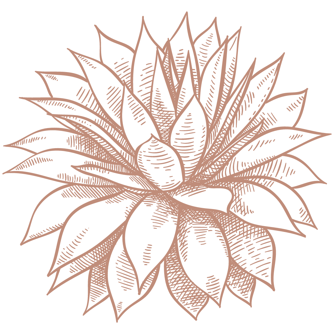 Minimalist copper-toned succulent plant illustration in repeating pattern.