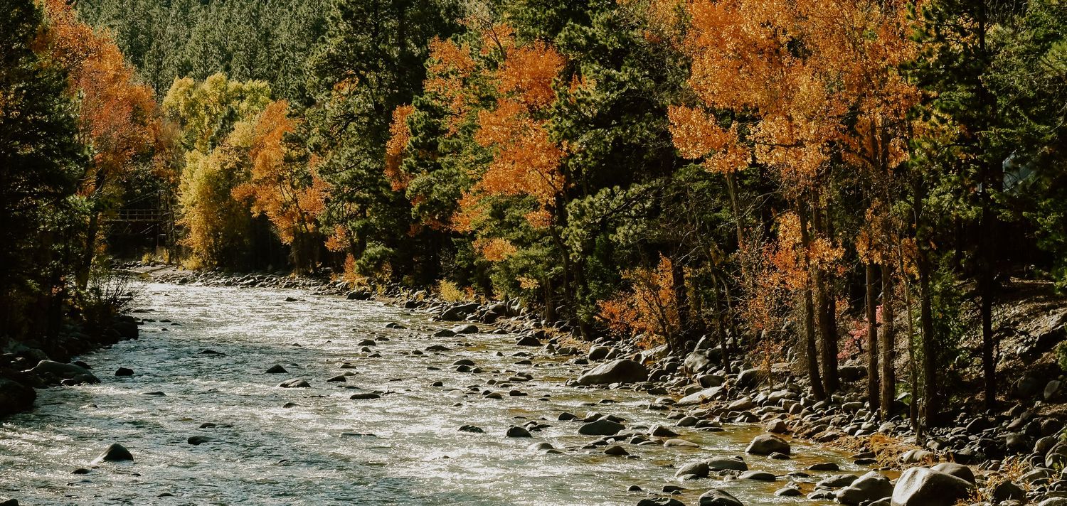 Autumn trees with vibrant fall colors line a rushing river in mountain landscape.
