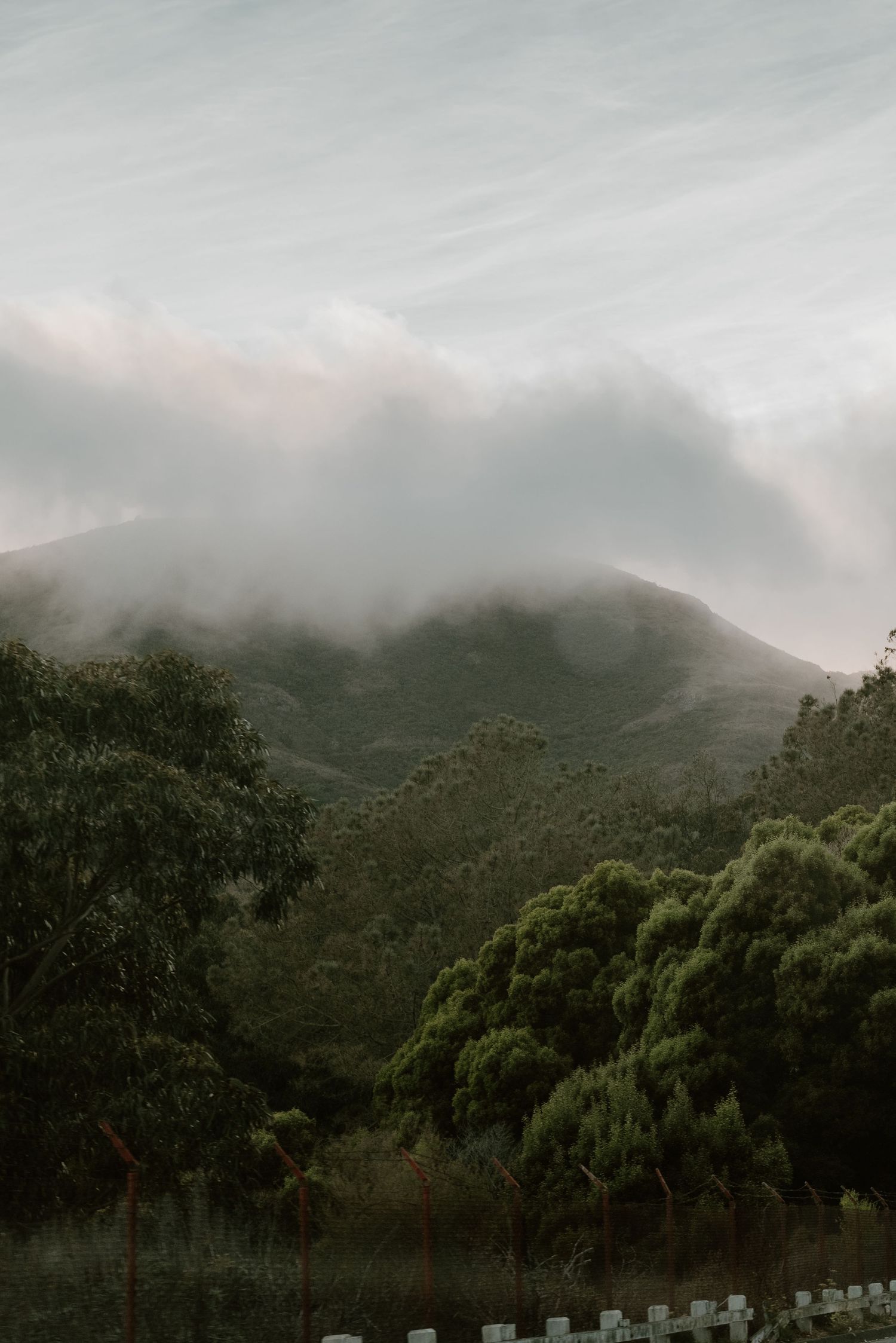 Misty mountains and dense forest reflected in a calm lake with cloudy skies above.