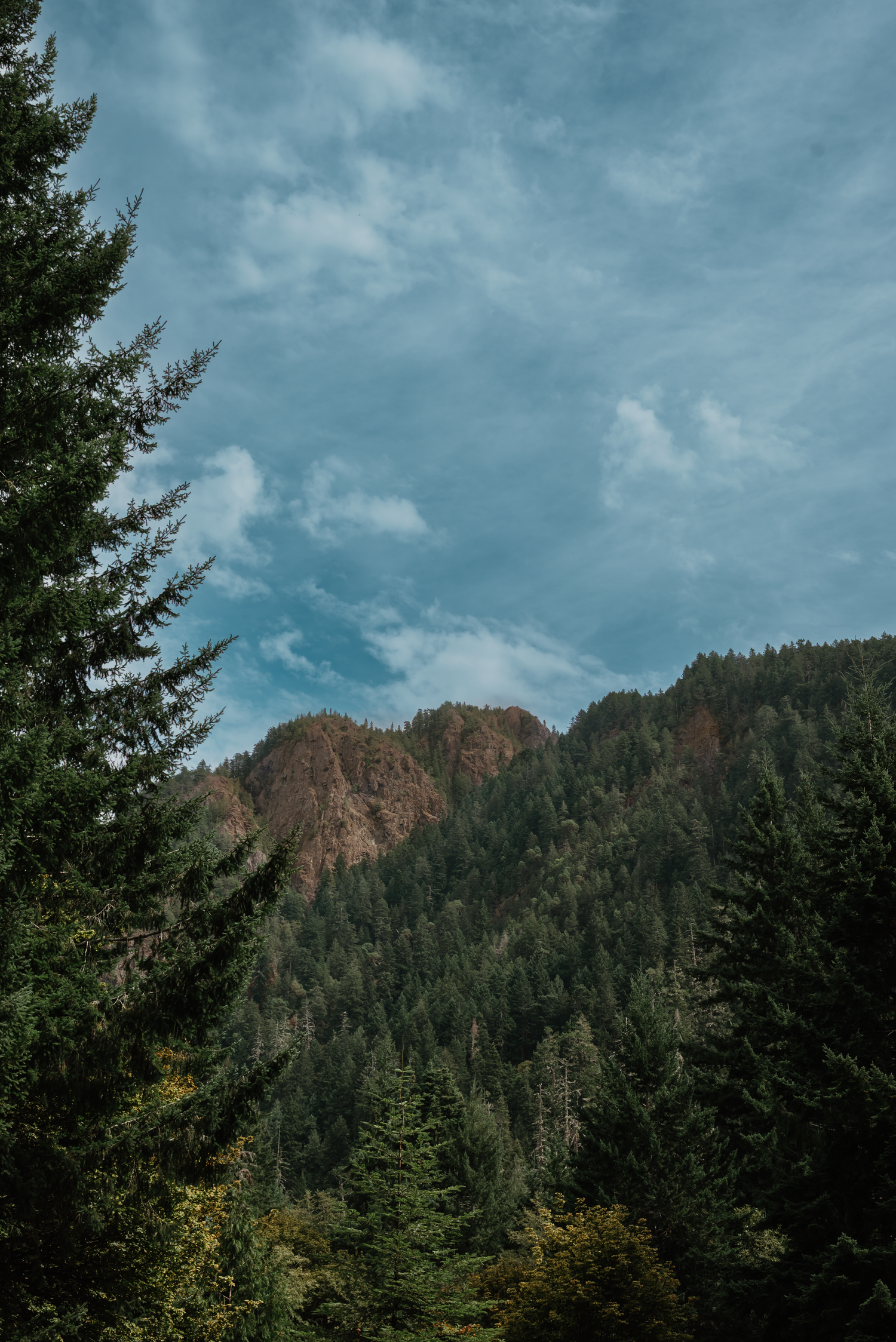 Tall evergreen pine trees frame a rocky mountain ridge under a dramatic blue sky with wispy clouds.