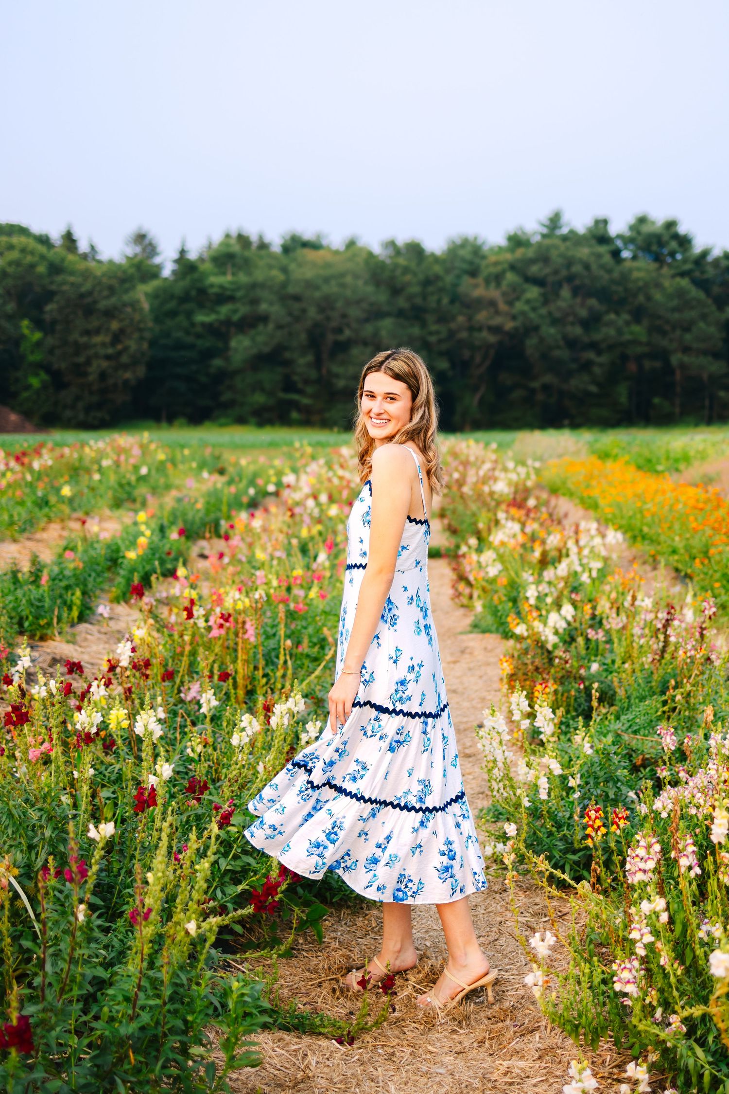 A high school senior twirls in floral dress against vibrant wildflowers at sunset golden hour at Ward's Berry Farm in Sharon Massachusetts