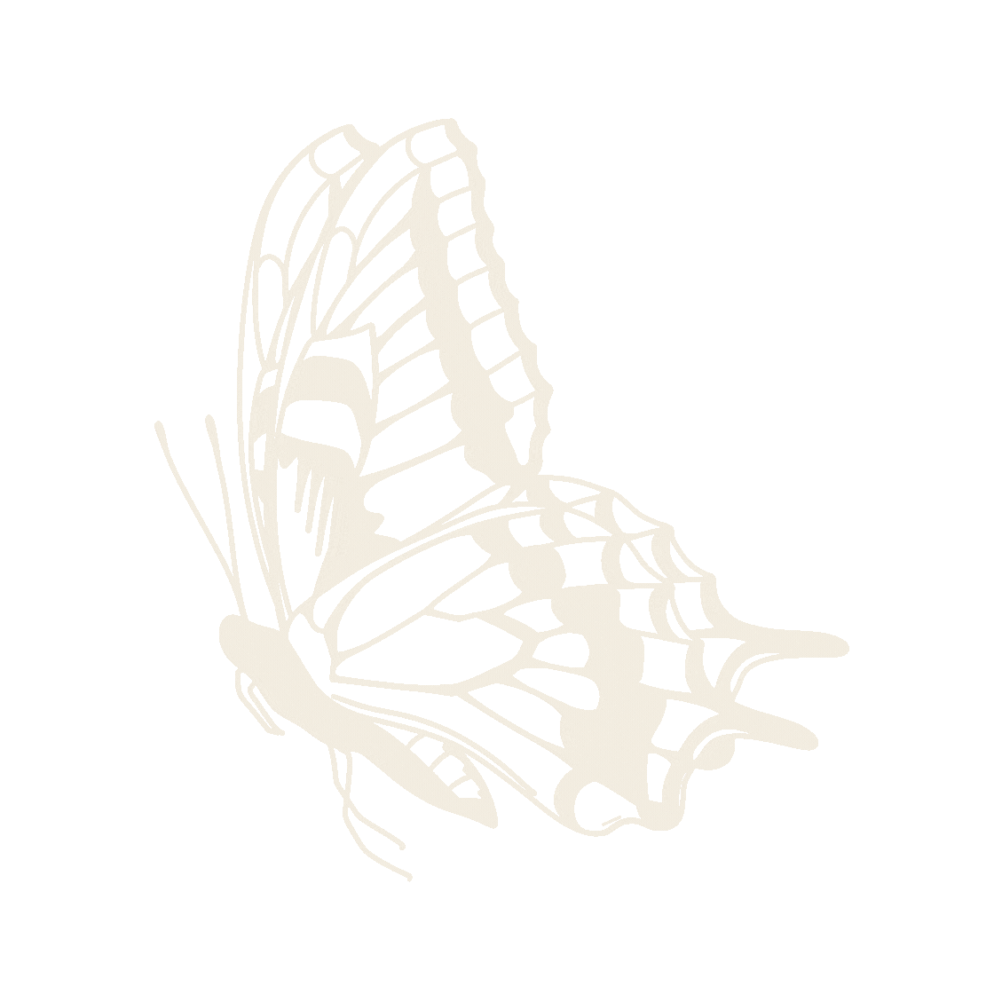 Silhouettes of butterflies in a light beige pattern create an elegant and delicate decorative design.