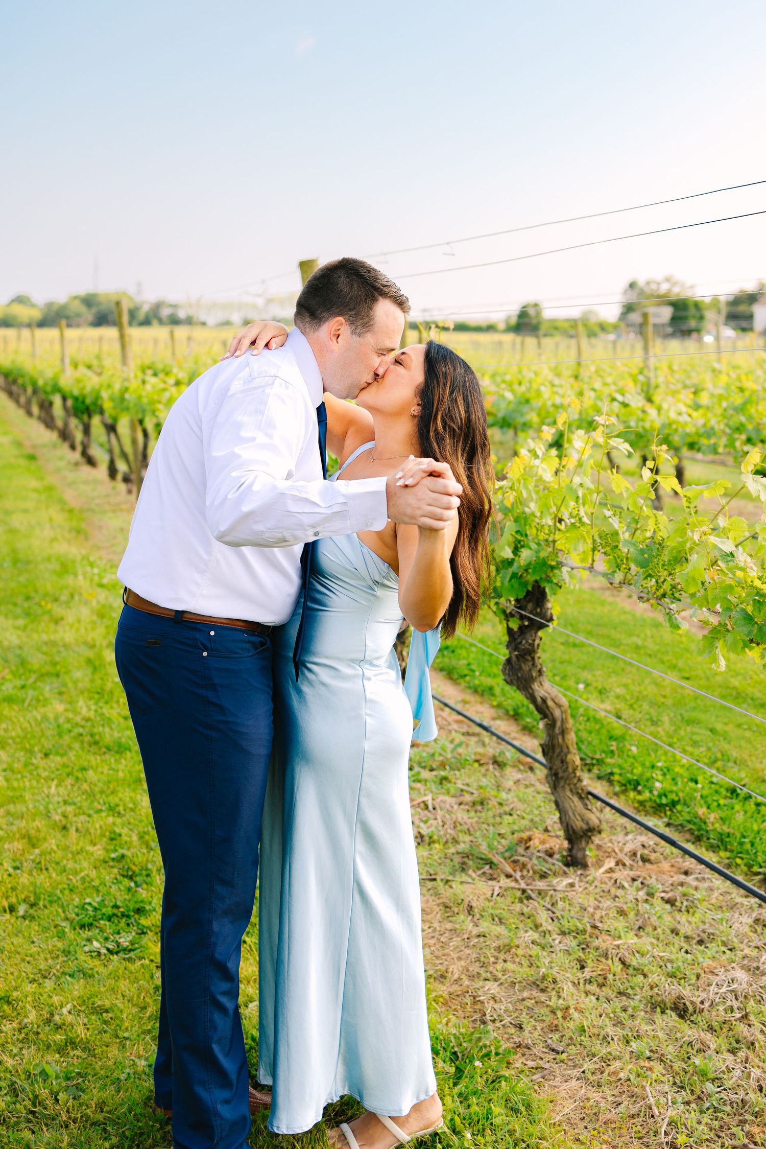 A couple shares a romantic kiss in a sunny vineyard with rows of grapevines in the background.