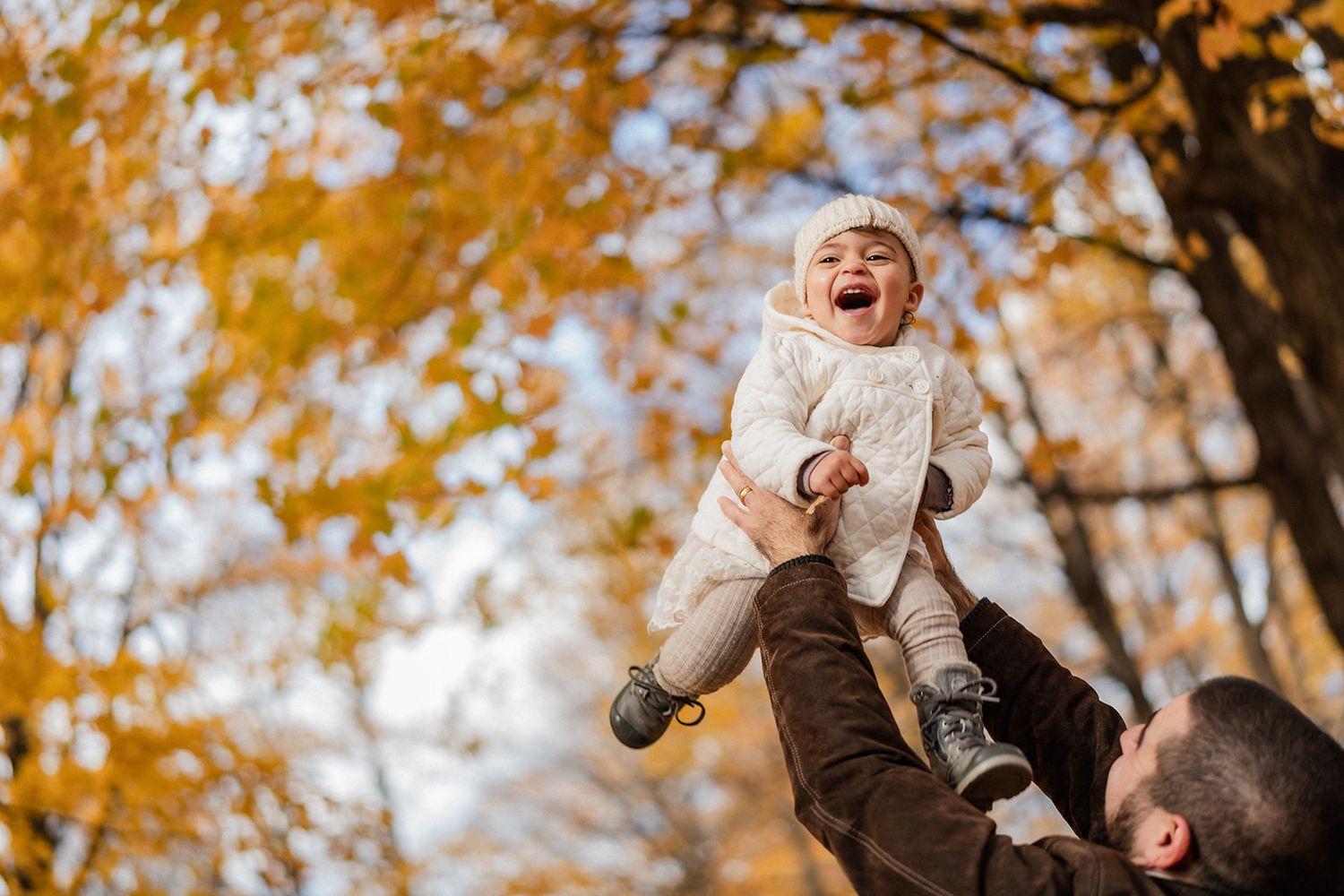 Happy autumn scene with golden leaves and natural light filtering through trees.