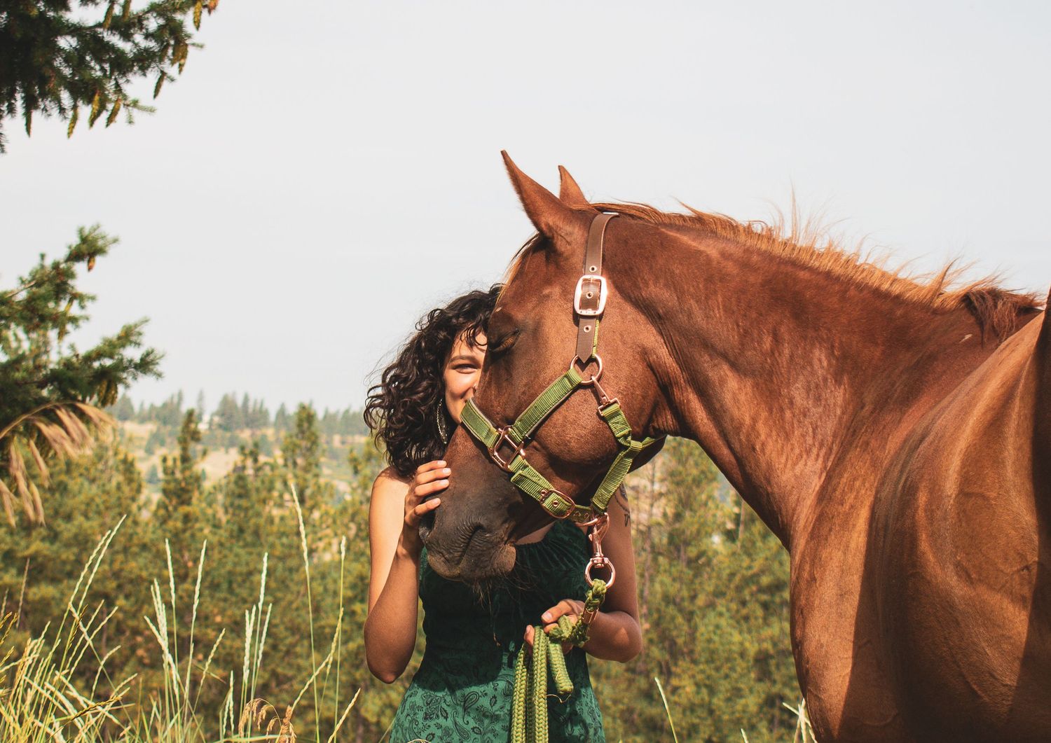 A series of seven photos showing a person interacting with and caring for a chestnut brown horse in an outdoor setting.