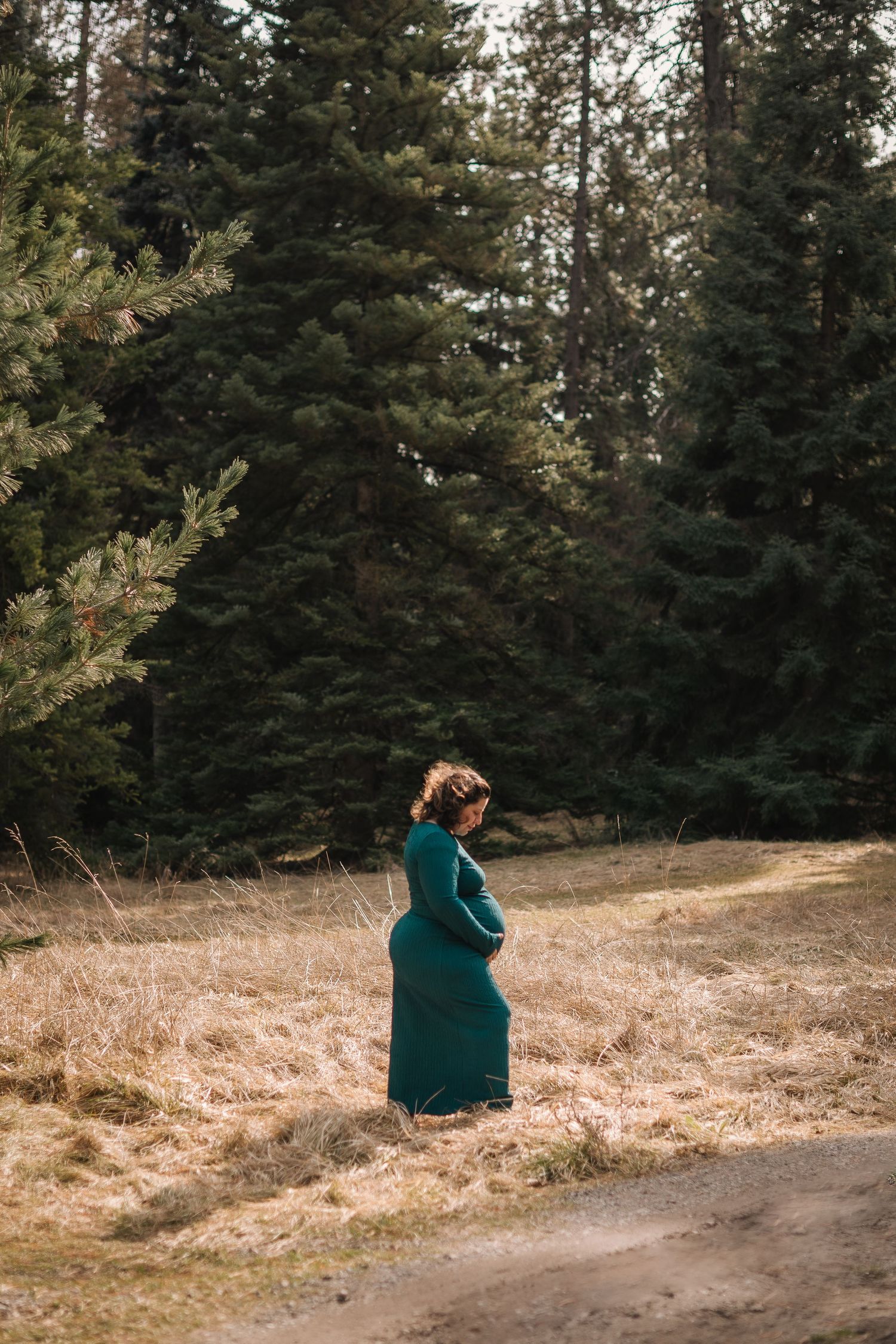 A figure in a teal sweater sits alone on a grassy hillside with evergreen trees in the background.
