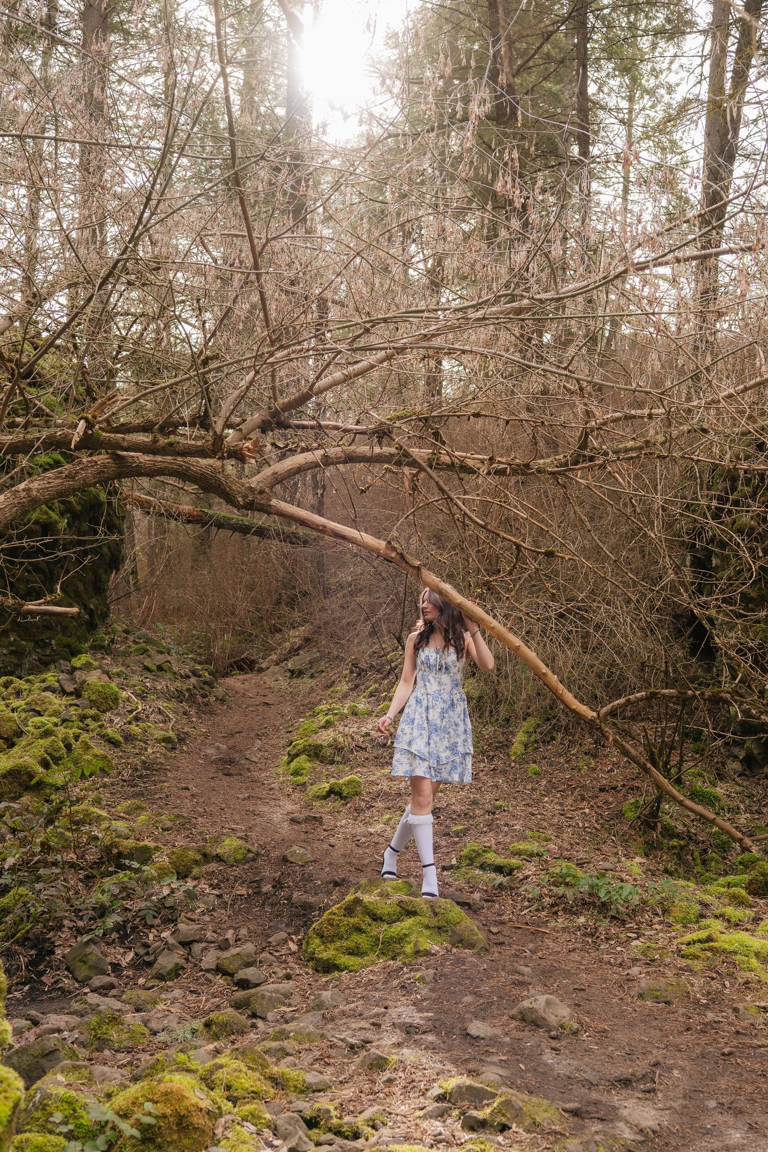 A figure in a floral dress and knee socks stands on mossy ground beneath fallen trees in a misty forest setting.