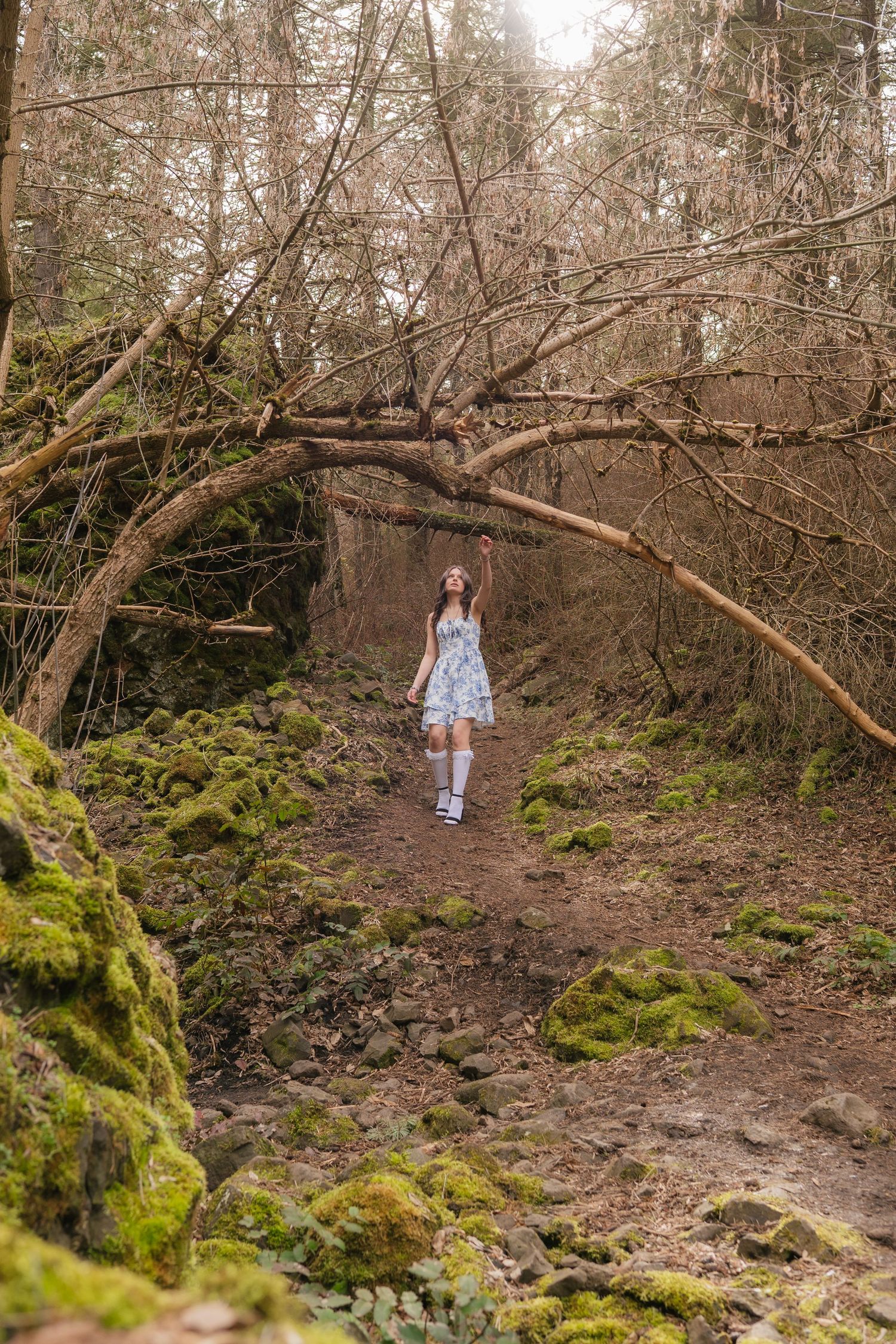 A whimsical forest path with mossy ground and fallen trees frames a figure in a light blue dress walking through.