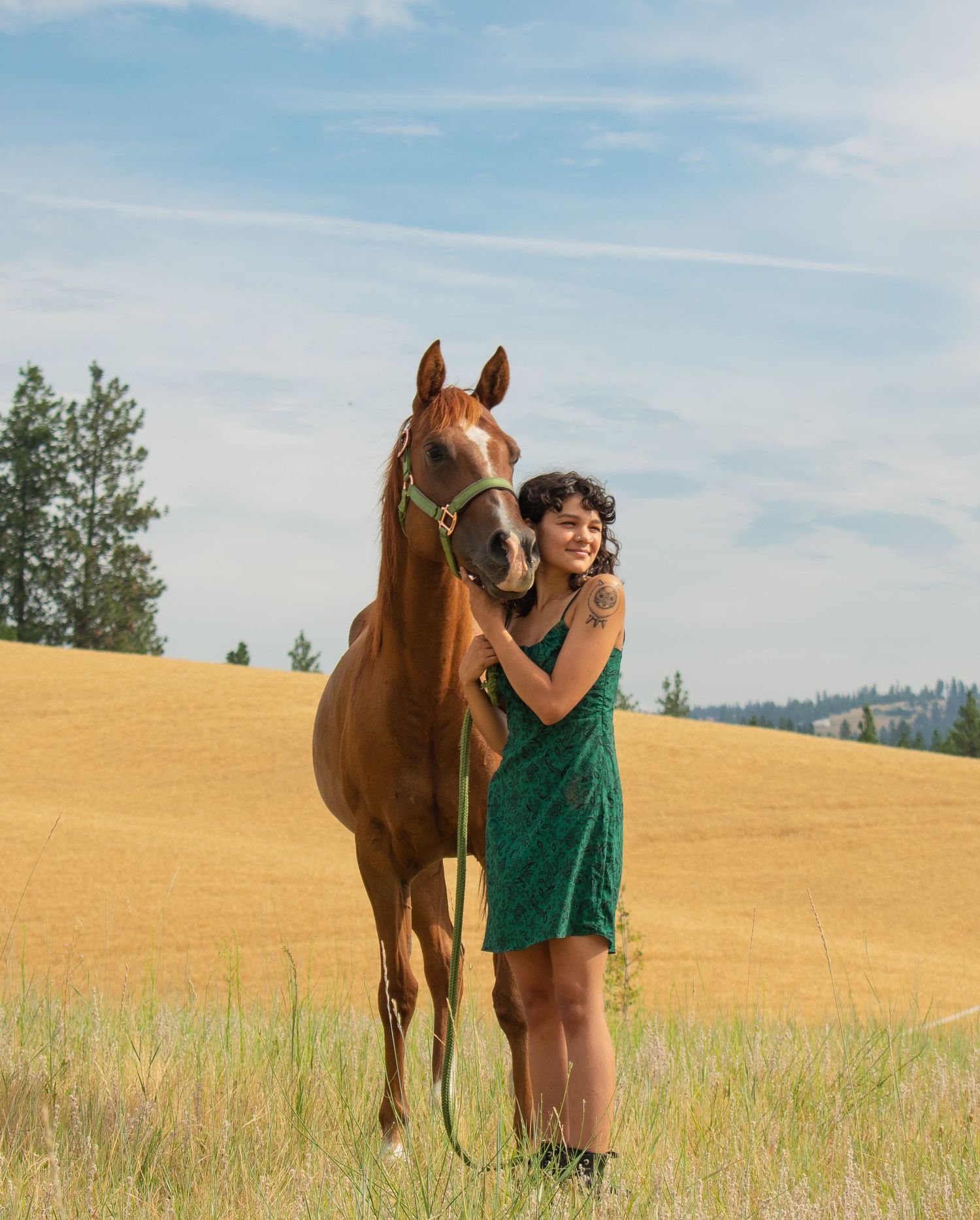 A smiling woman in a green dress stands beside a chestnut horse in a golden field under a blue sky.