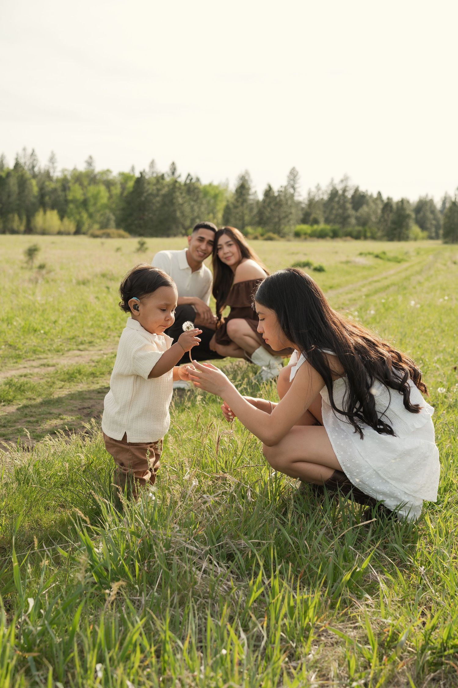Family enjoying a sunny day in a green field, with a child holding a dandelion while parents watch lovingly.