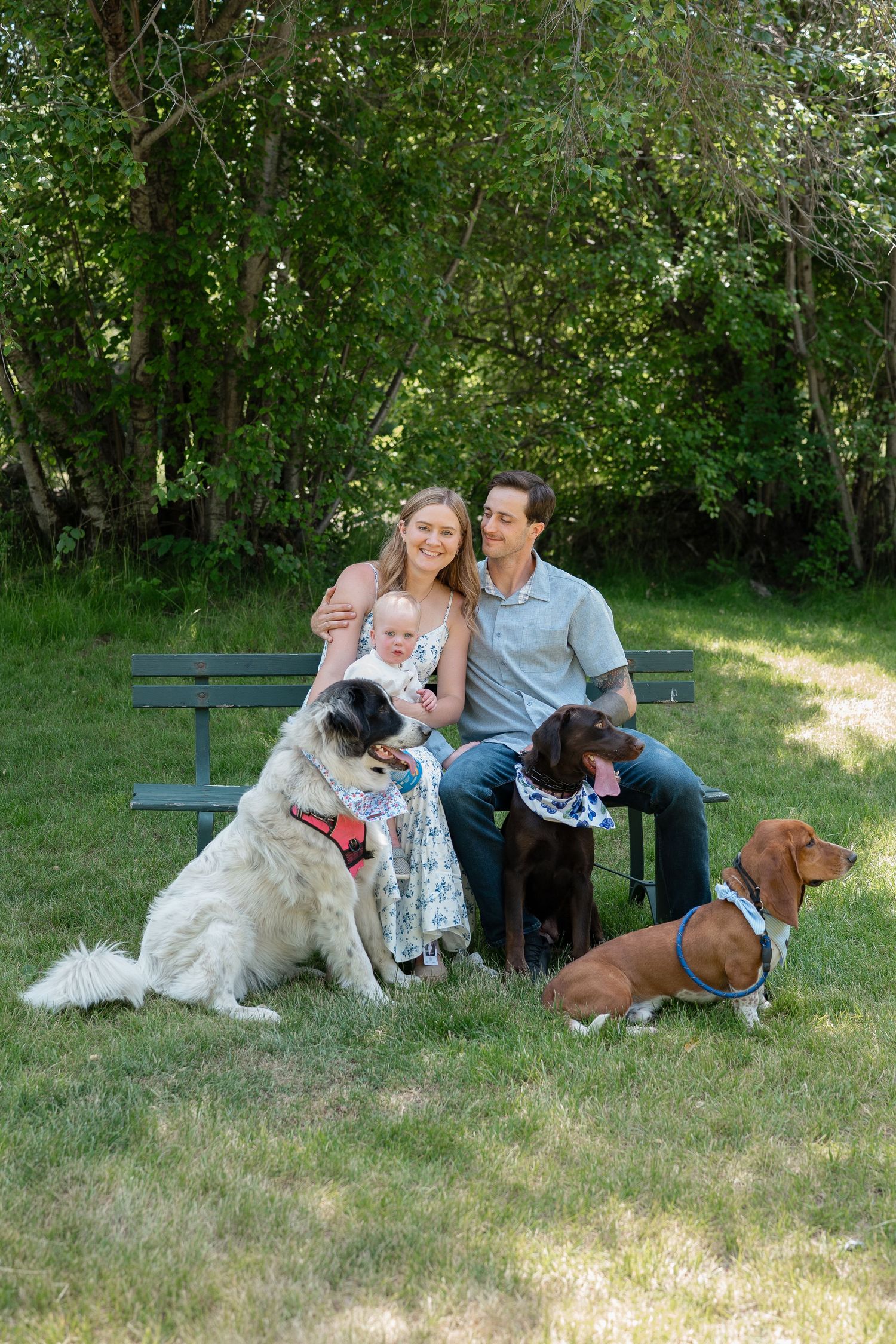 A family relaxes on a park bench with their two dogs on a sunny day surrounded by lush greenery.
