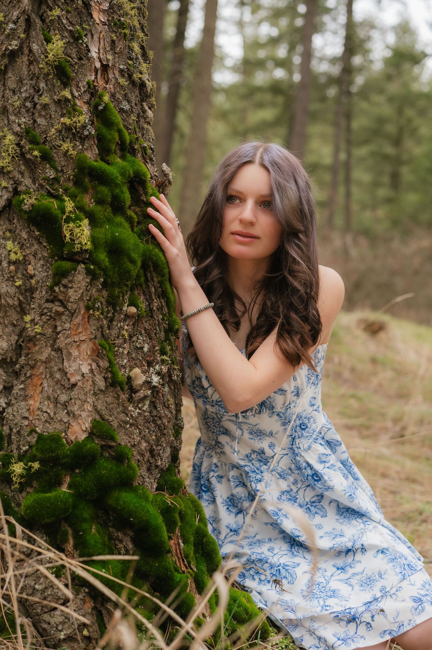 A blue and white floral sundress stands out against mossy tree bark in a peaceful forest setting.