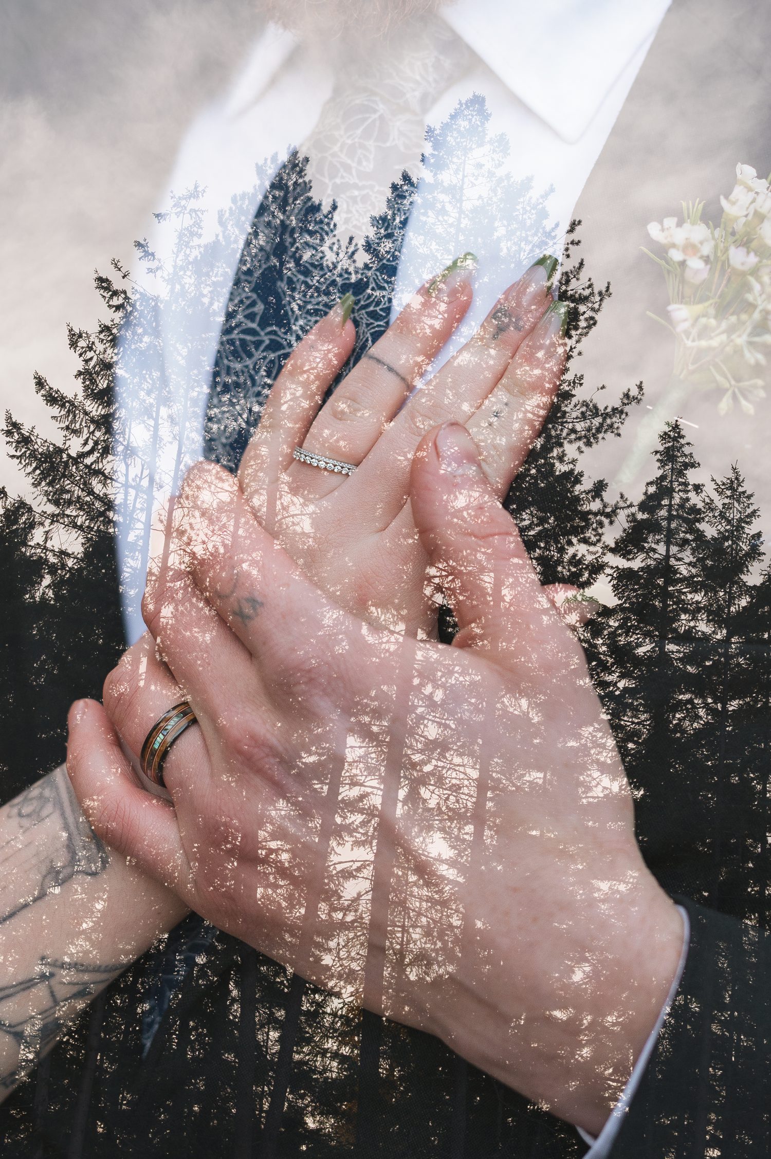 Double exposure wedding photo of hands with rings overlaid on misty pine forest, symbolizing romantic union.