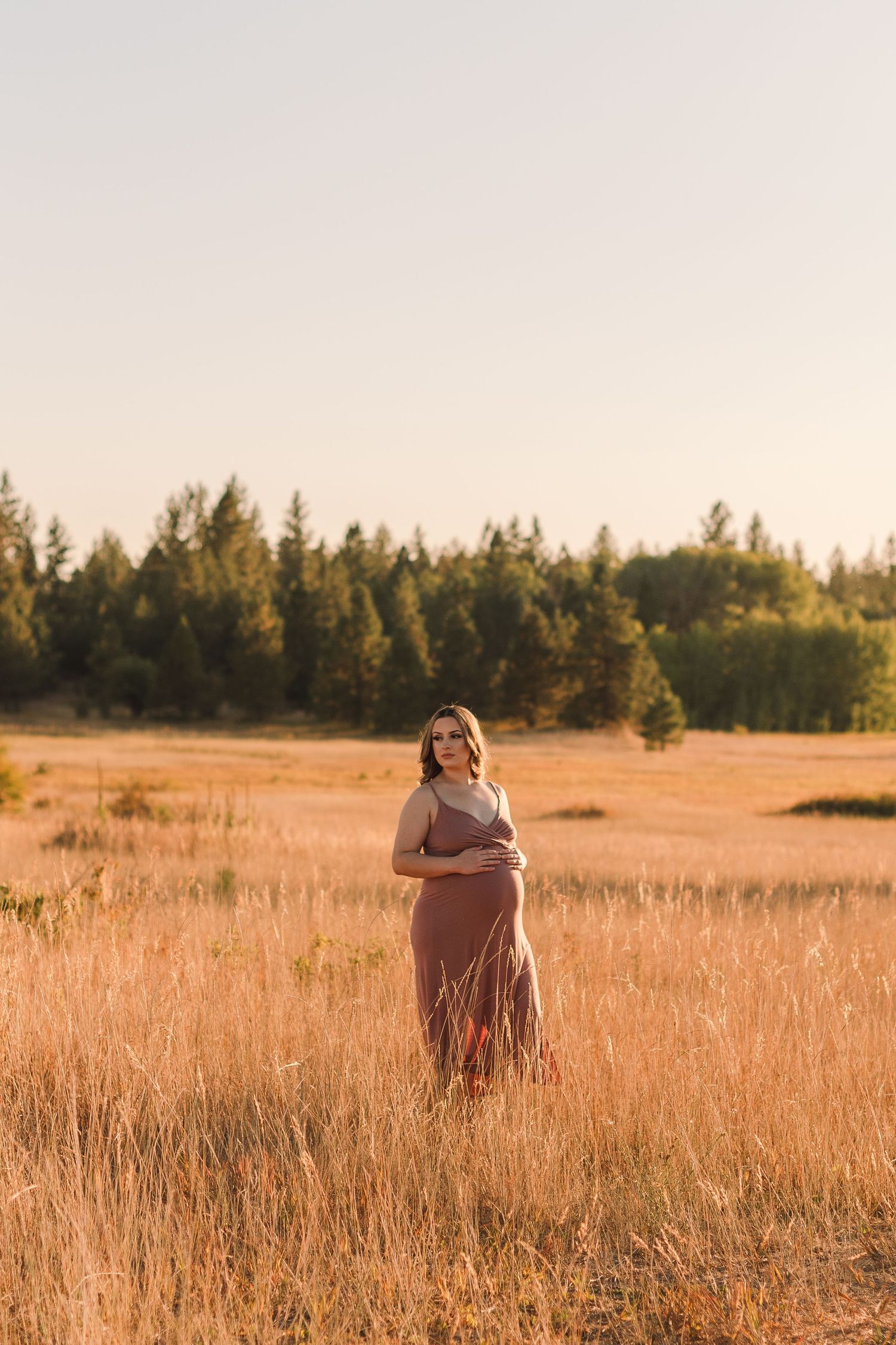 A pregnant figure stands in a golden field at sunset with evergreen trees in the background.