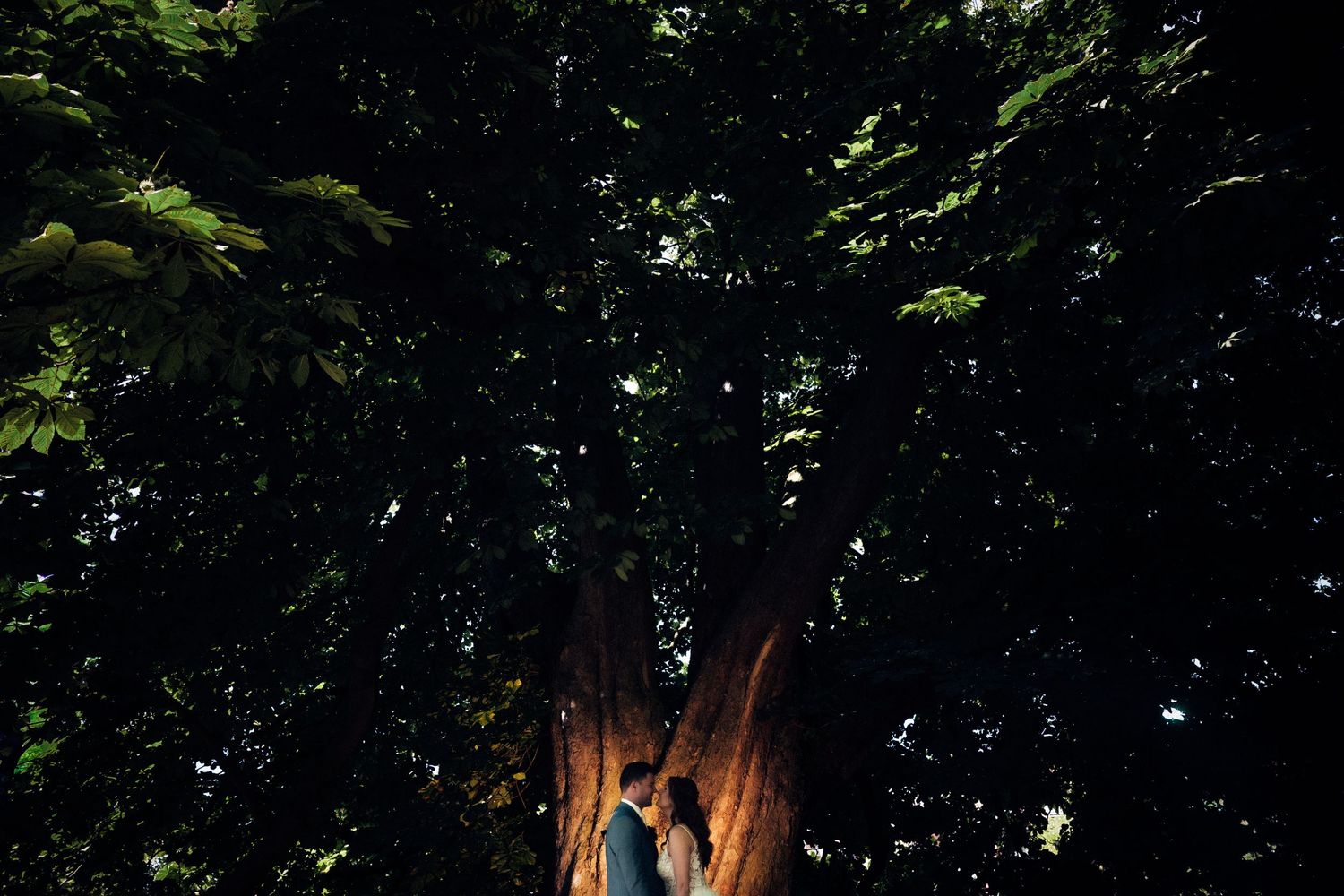 flitsfoto van een bruidspaar bij een grote eik in hortus botanicus in leiden