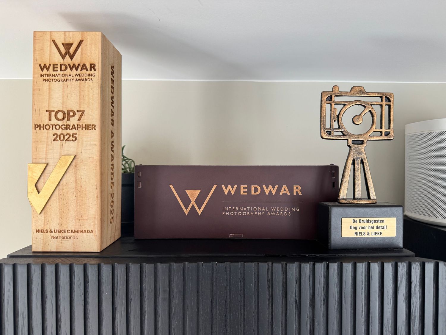wedwar award winning wedding photography trophy