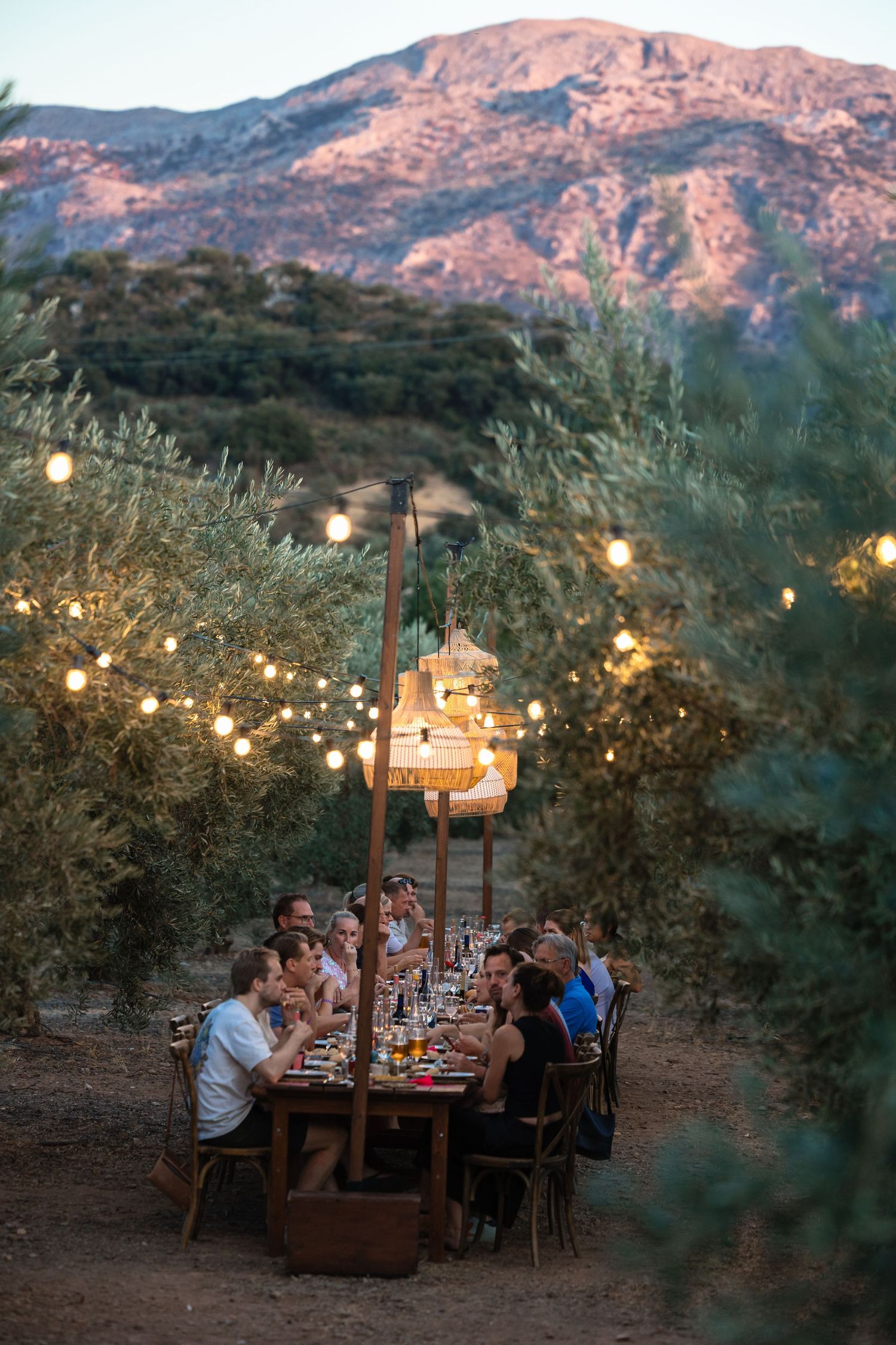 eettafel in malaga buiten olijfbomen wedding
