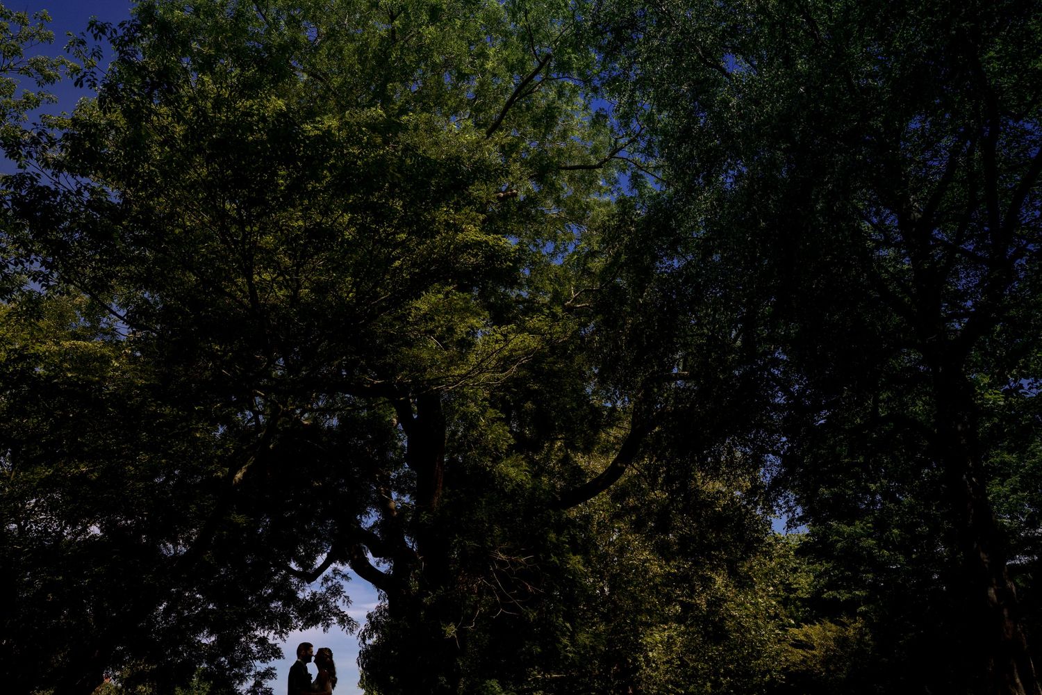 foto van bruidspaar in hortus botanicus