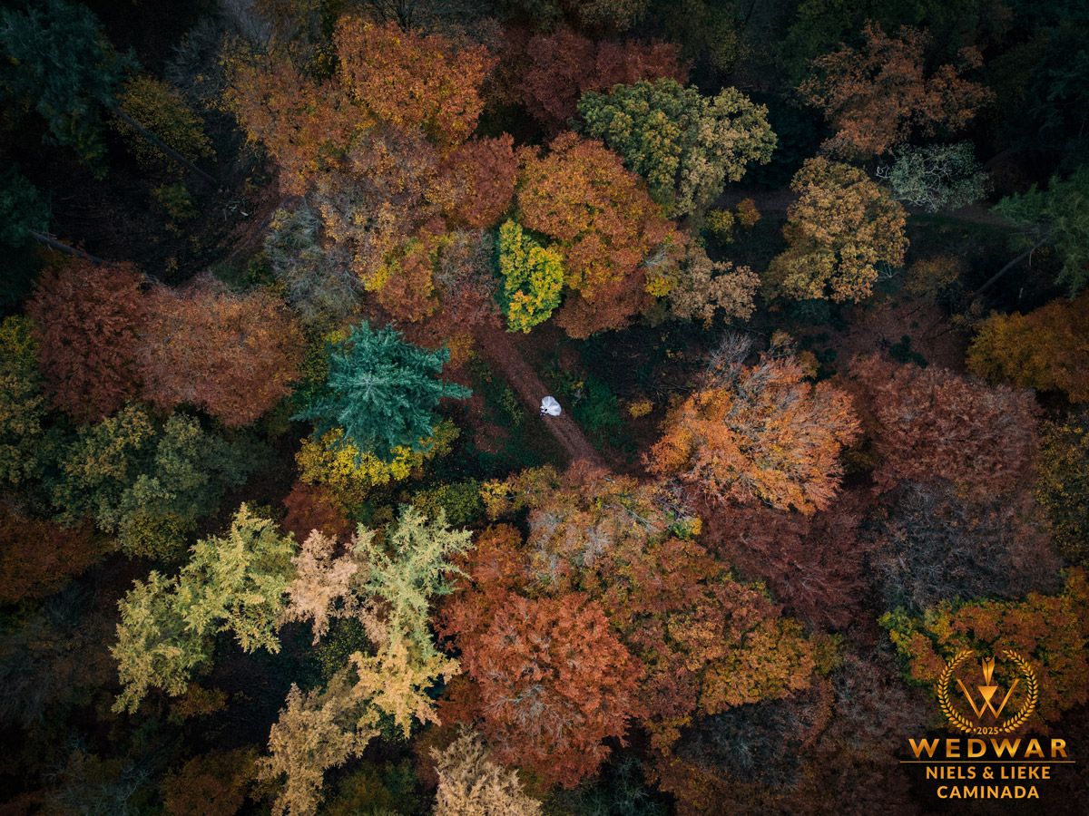 drone foto wedwar van een bos met herfstkleuren en een bruidspaar in het midden