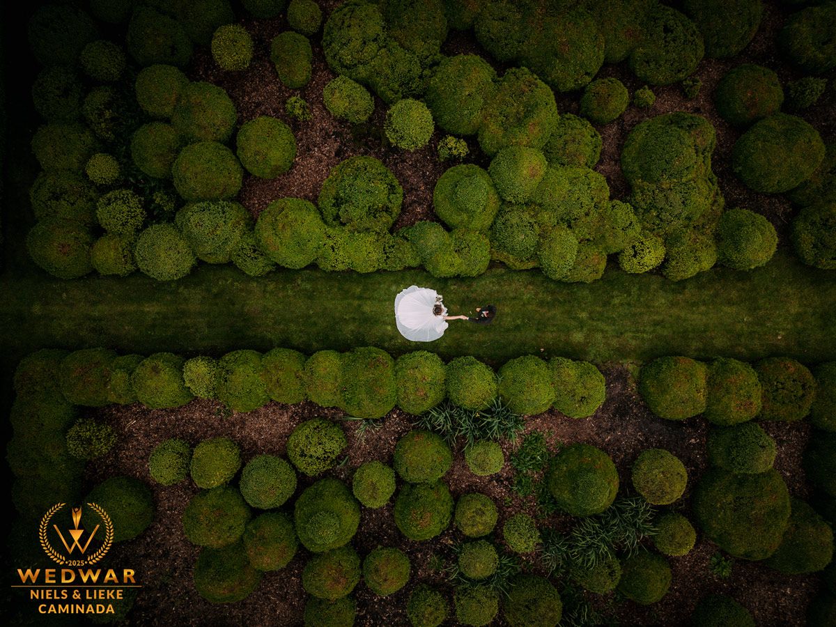 drone foto van een bruidspaar tussen de groene buxus
