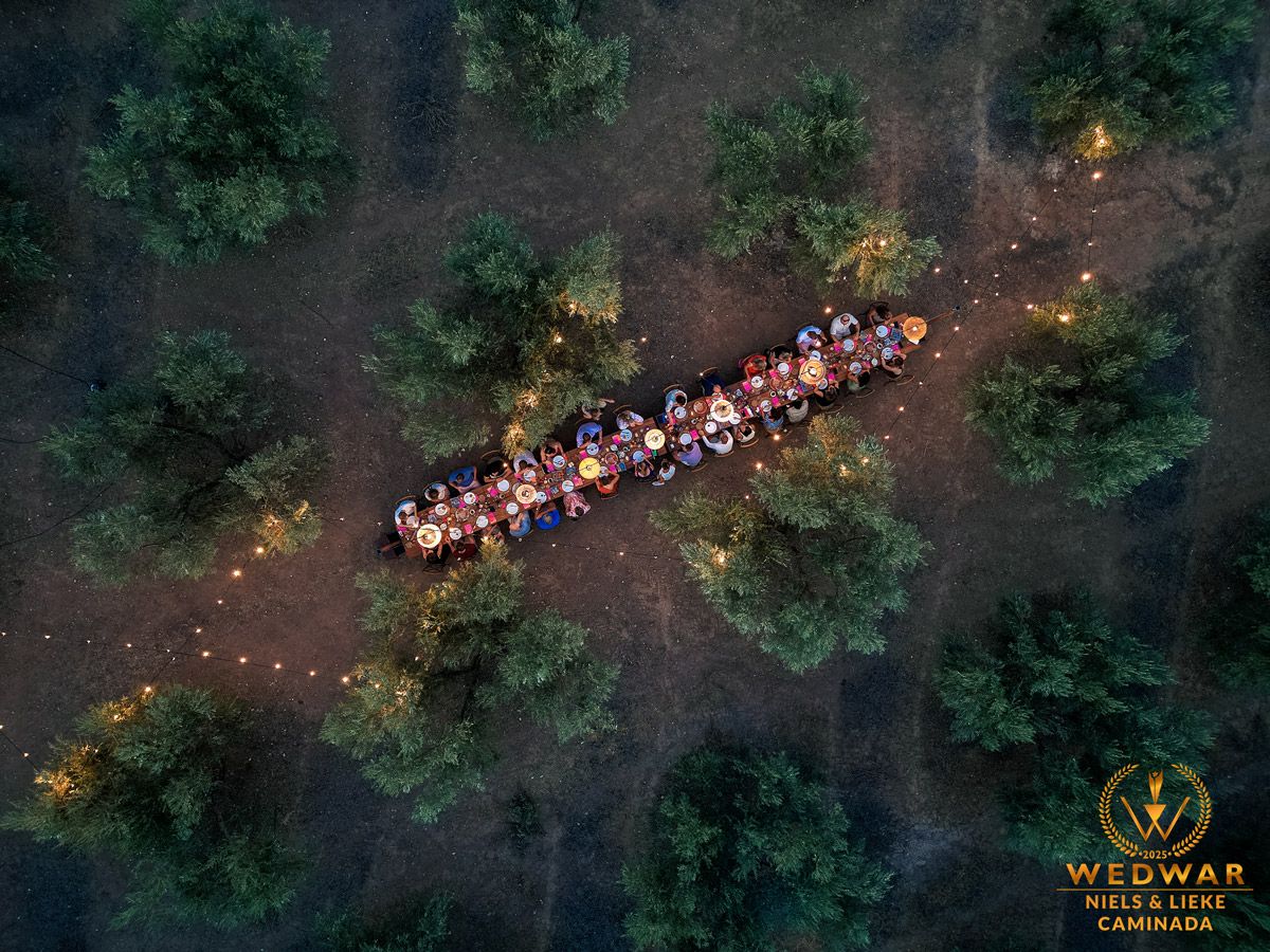 wedwar award winning wedding photography drone