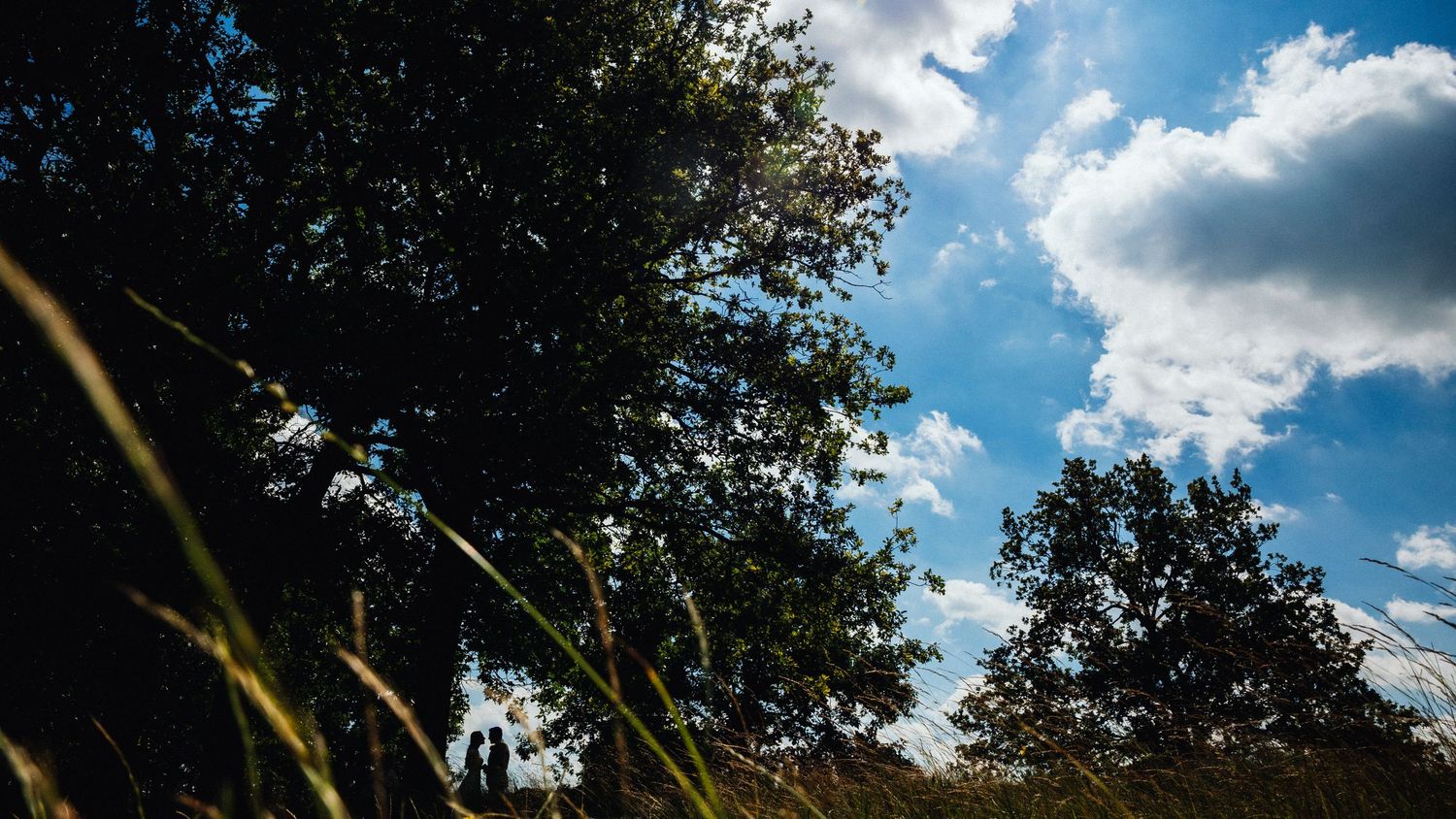 kosten fotograaf bruidspaar in natuur