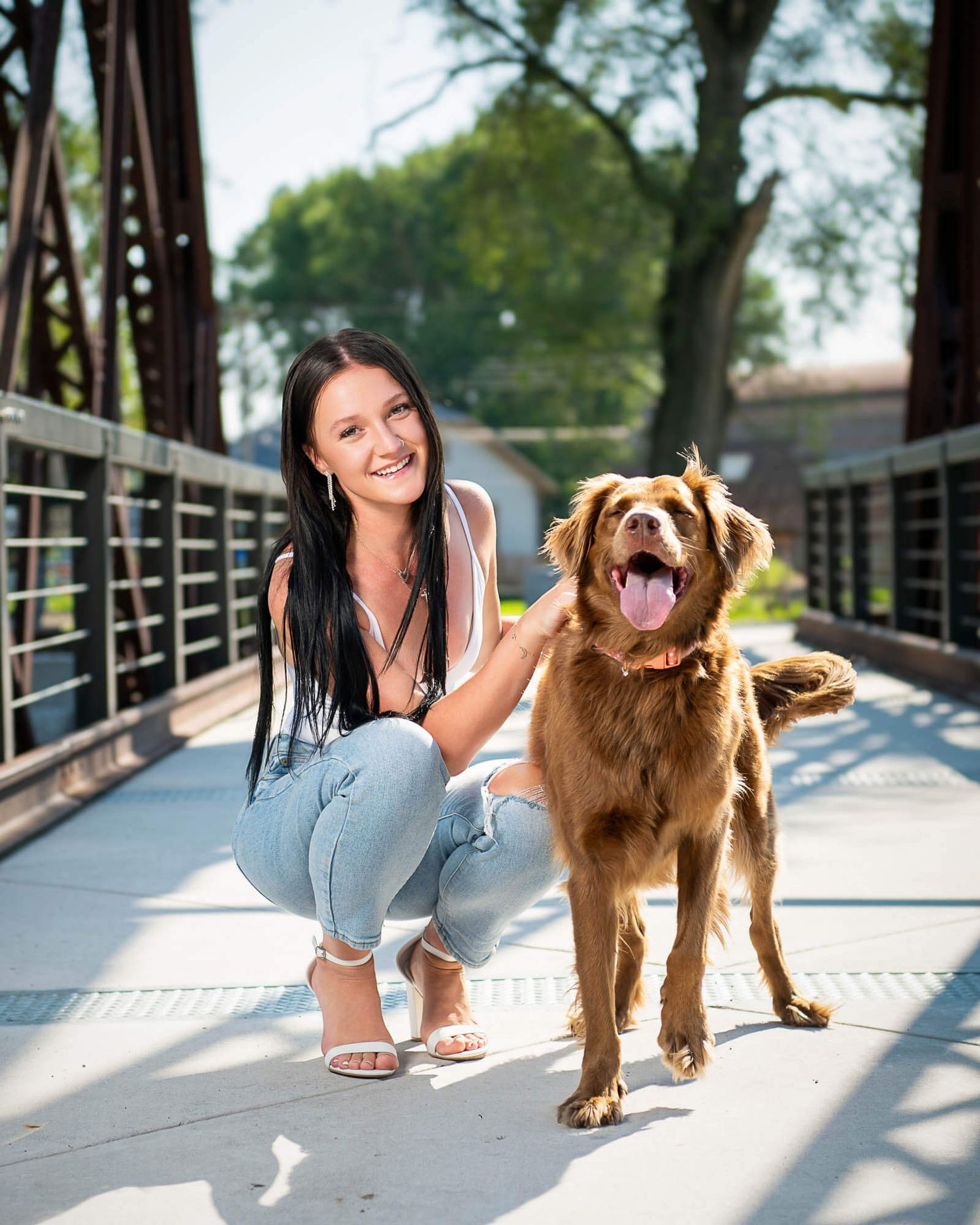 A person and a golden retriever dog share playful moments together on a wooden bridge in a park setting.