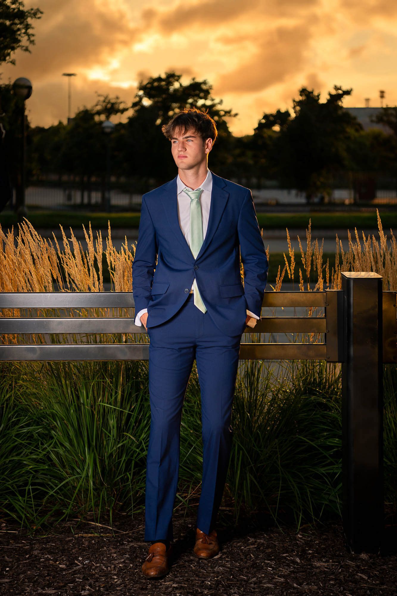Outdoor portrait at sunset featuring someone in a formal navy suit posed near tall ornamental grasses.
